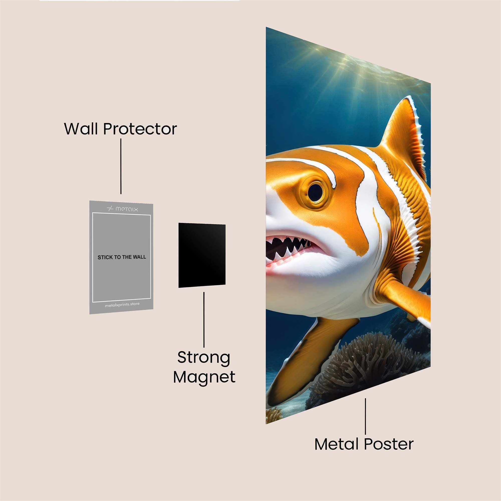 Shark Spectacle Safe Wall Magnetic / M