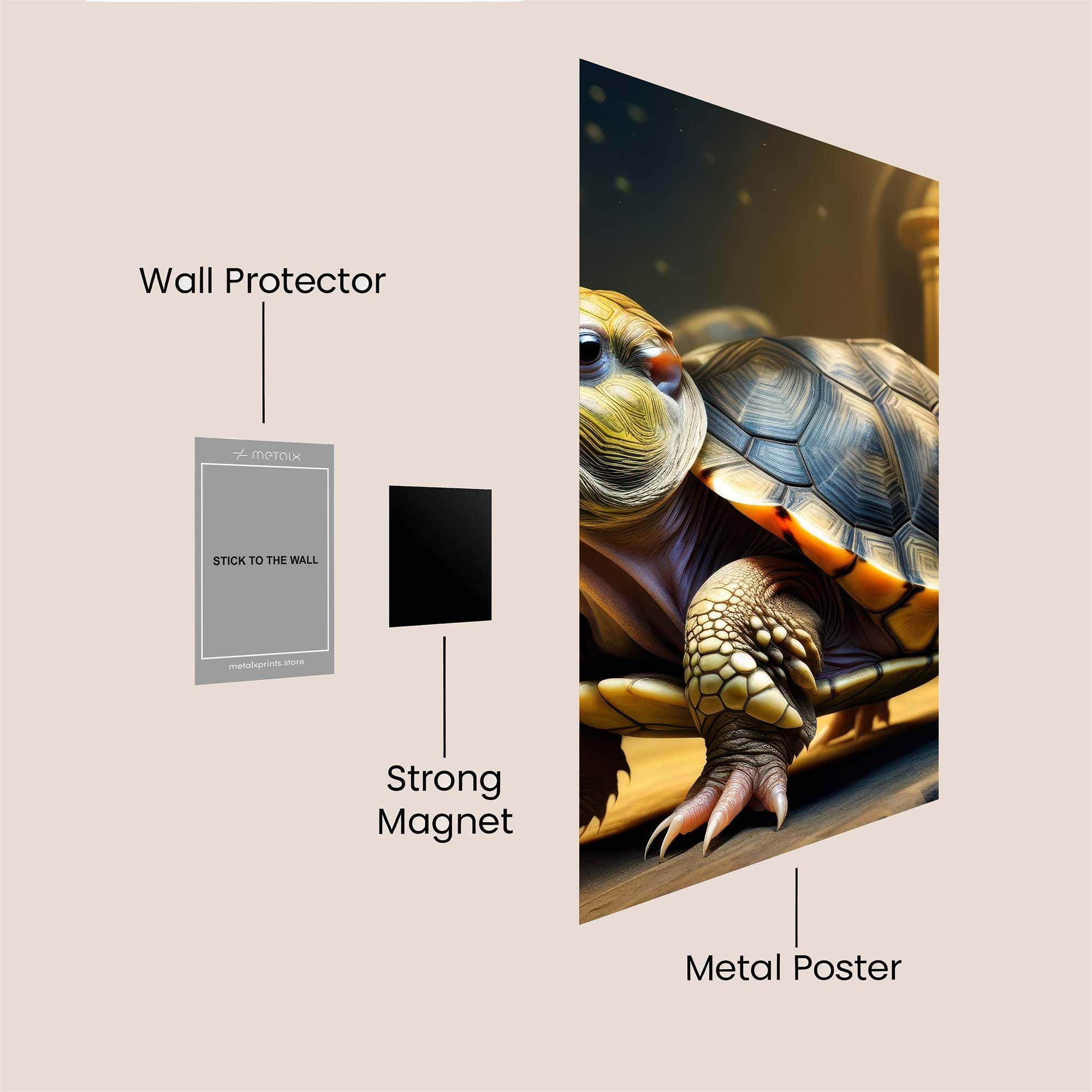 Tortoise Majesty Safe Wall Magnetic / M