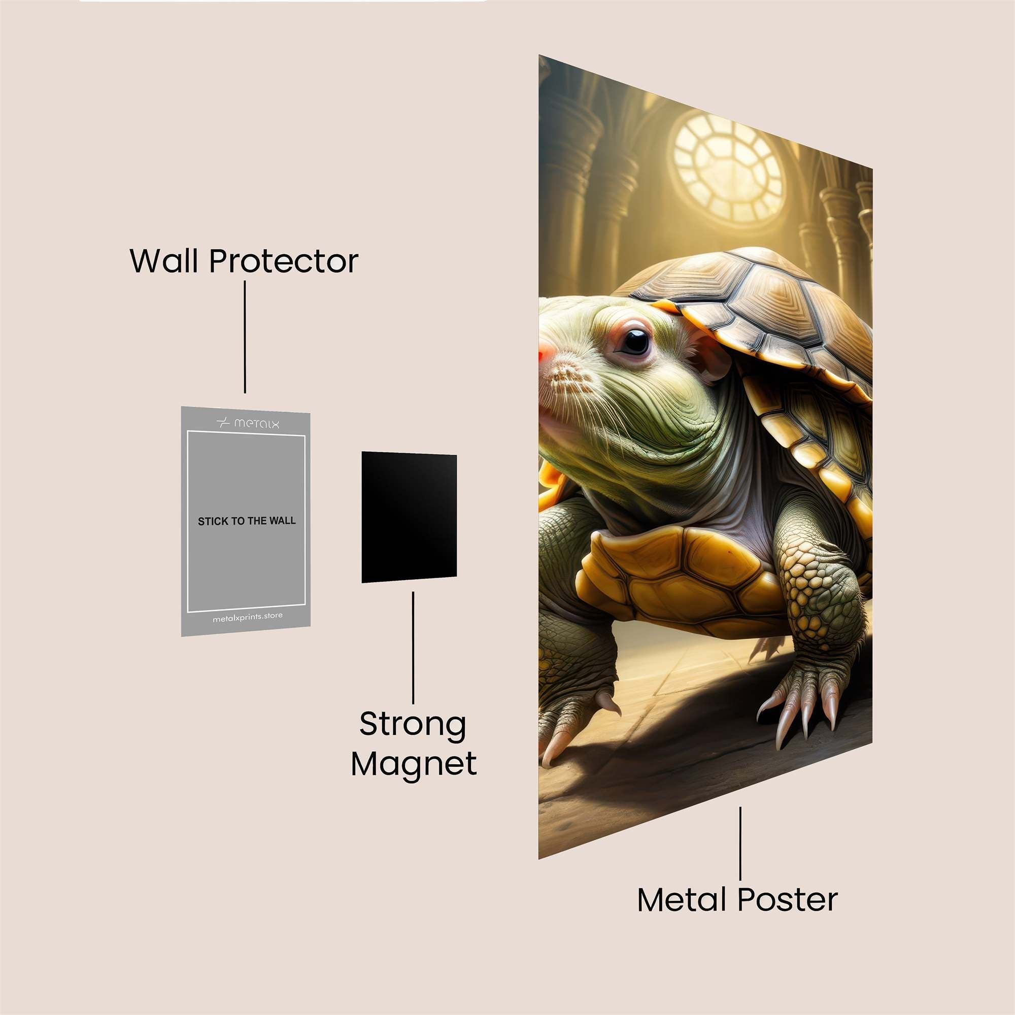 Tortoise Majesty Safe Wall Magnetic / M