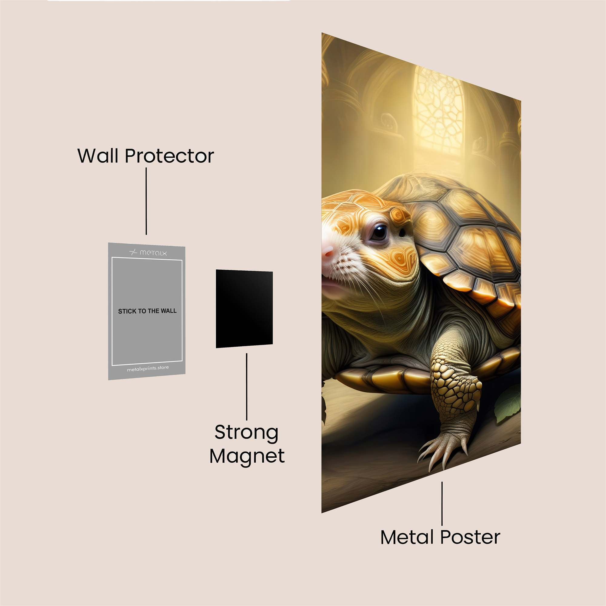 Turtle Majesty Safe Wall Magnetic / M