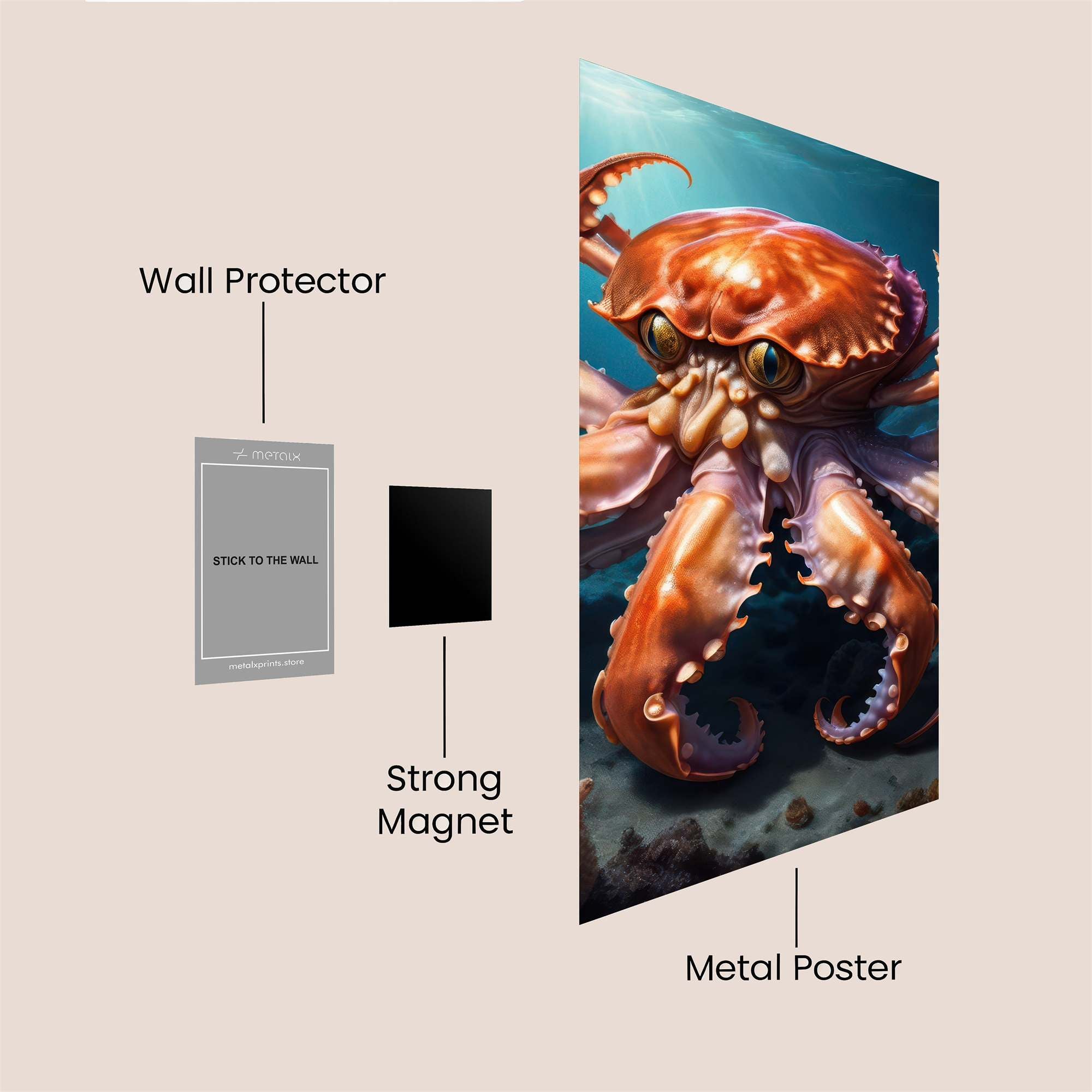 Crabtopus Wonder Safe Wall Magnetic / M