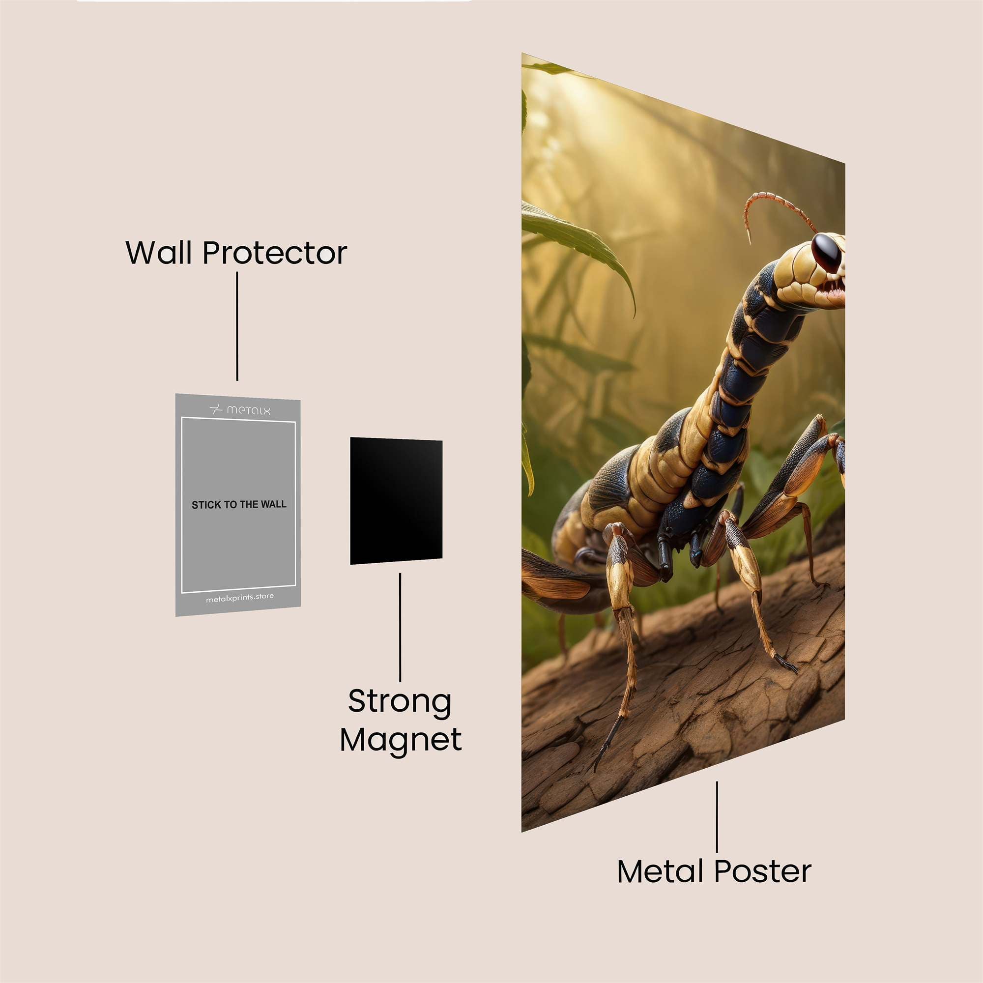 Antagonist Arachnid Safe Wall Magnetic / M