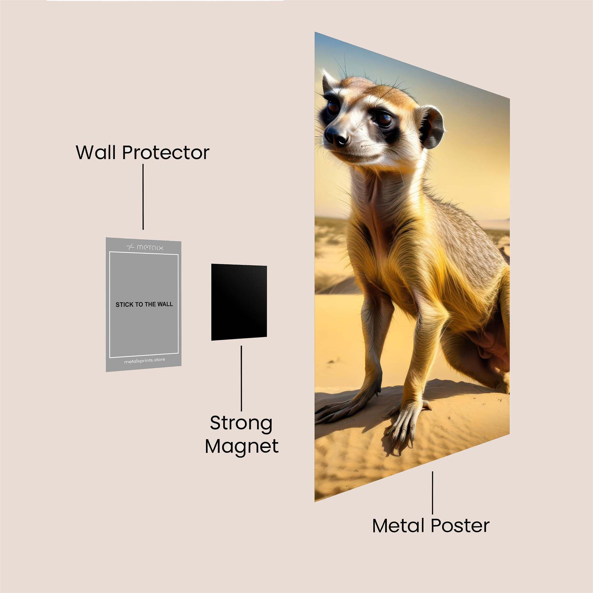 Meerkat Majesty Safe Wall Magnetic / M