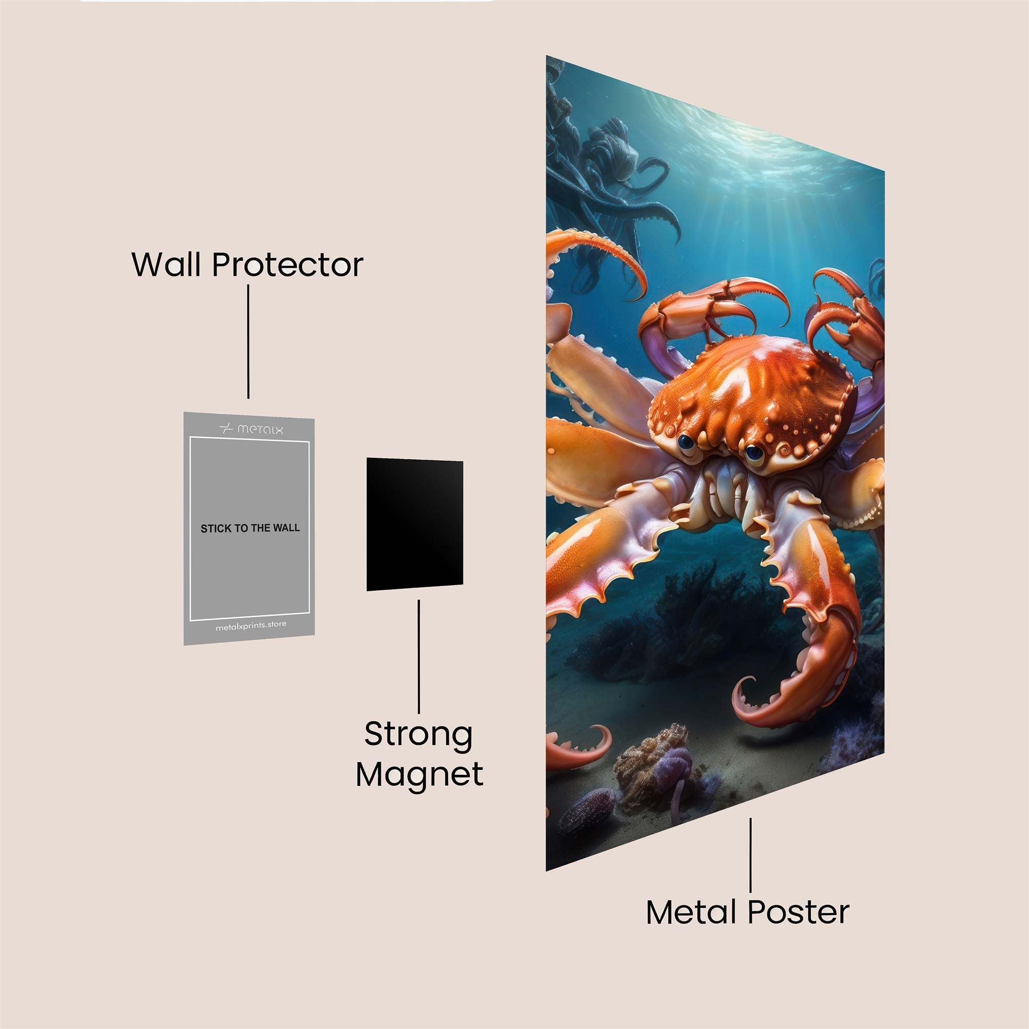 Crab Majesty Safe Wall Magnetic / M