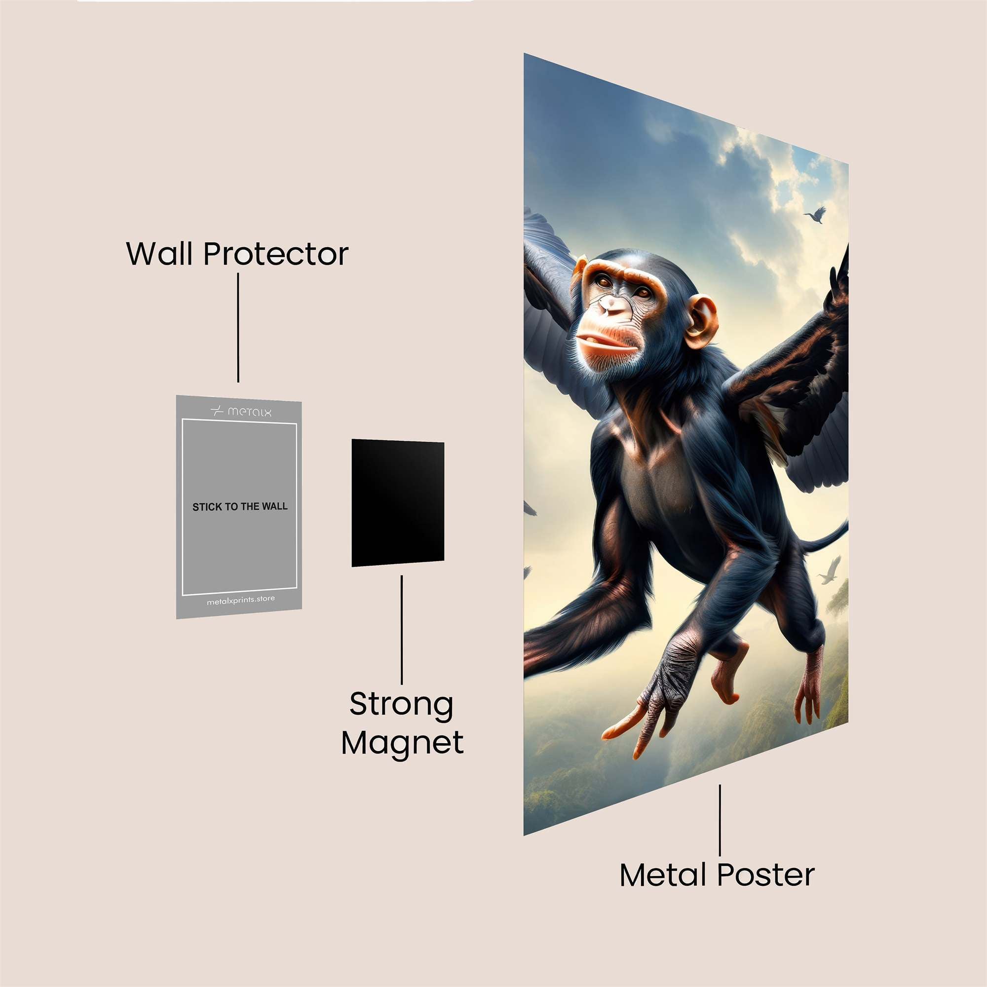 ChimpSoar Safe Wall Magnetic / M