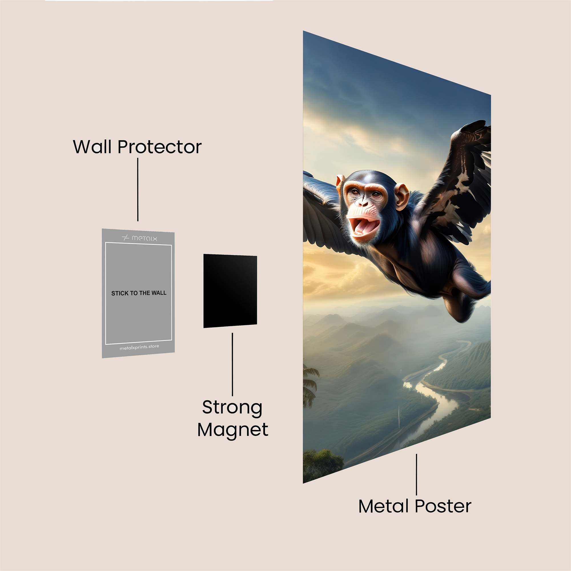 ChimpSoar Safe Wall Magnetic / M