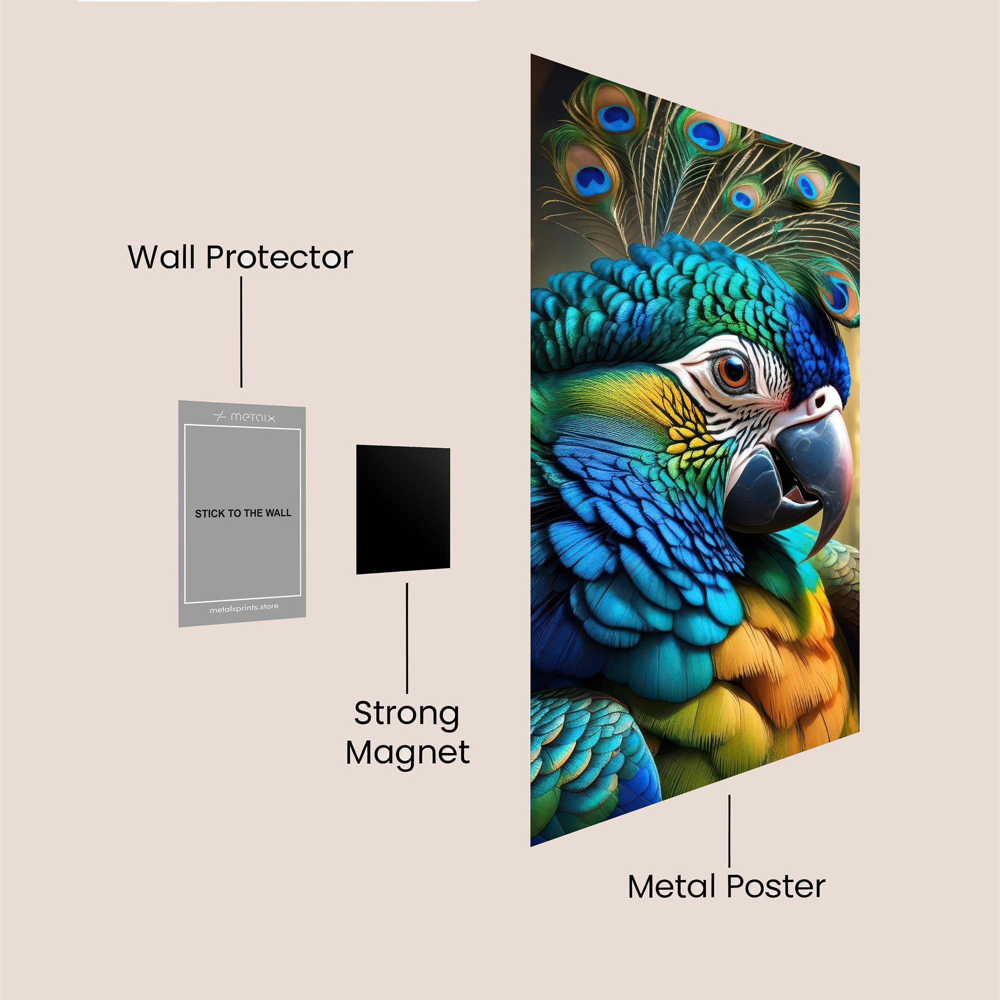 Peacock Majesty Safe Wall Magnetic / M