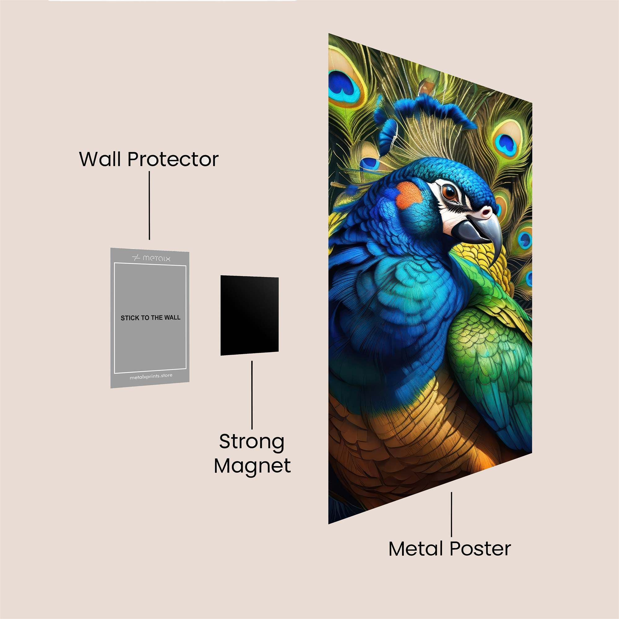 Peacock Radiance Safe Wall Magnetic / M