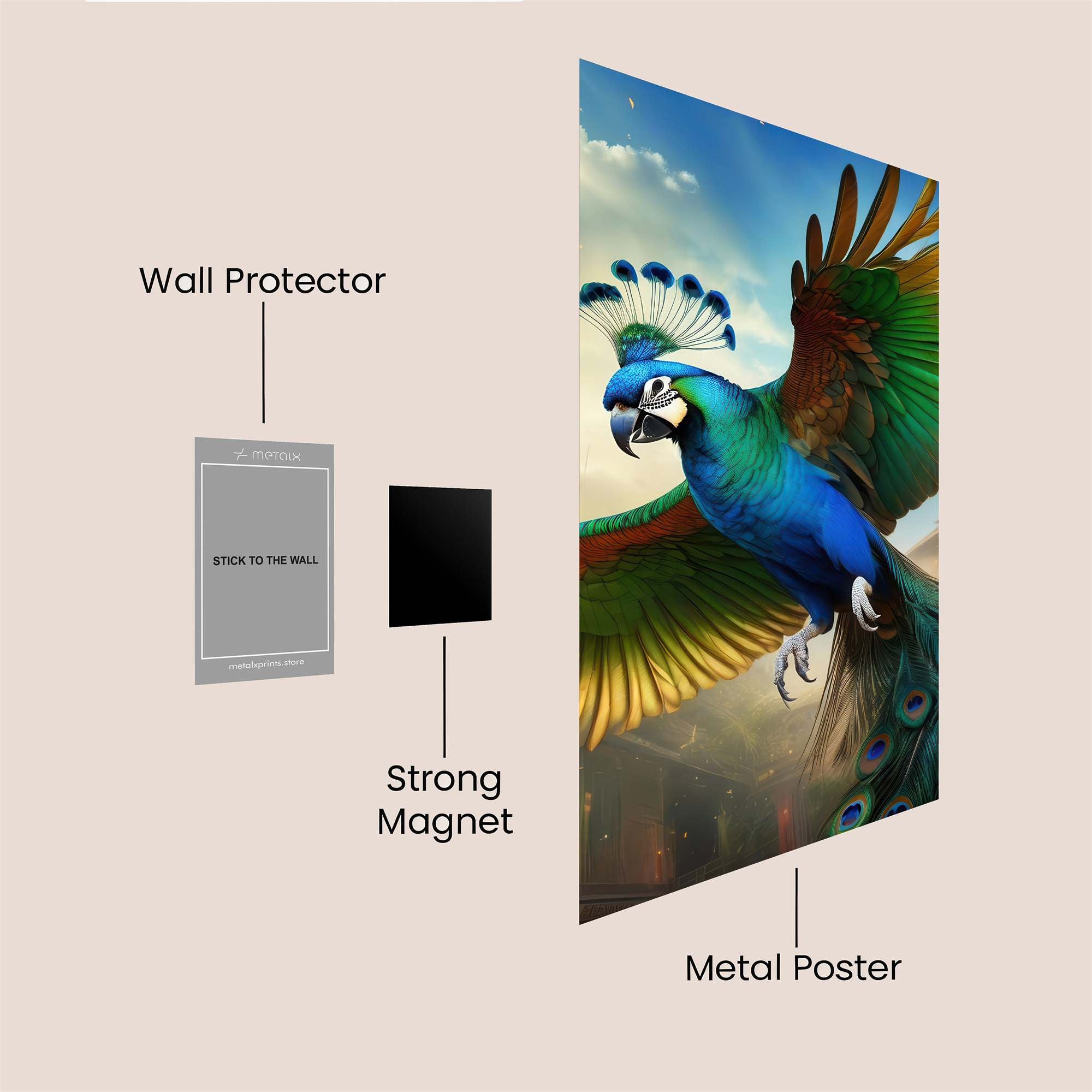 Peacock Majesty Safe Wall Magnetic / M