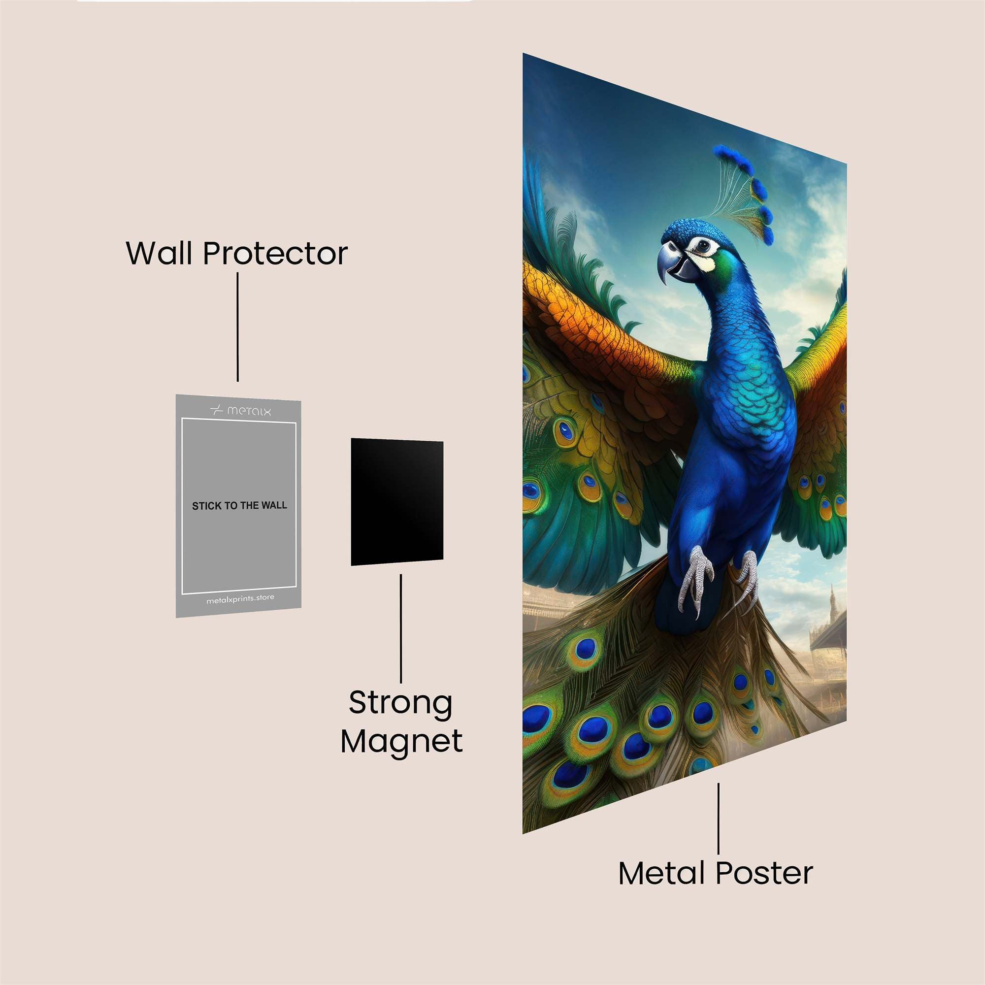 Peacock Majesty Safe Wall Magnetic / M