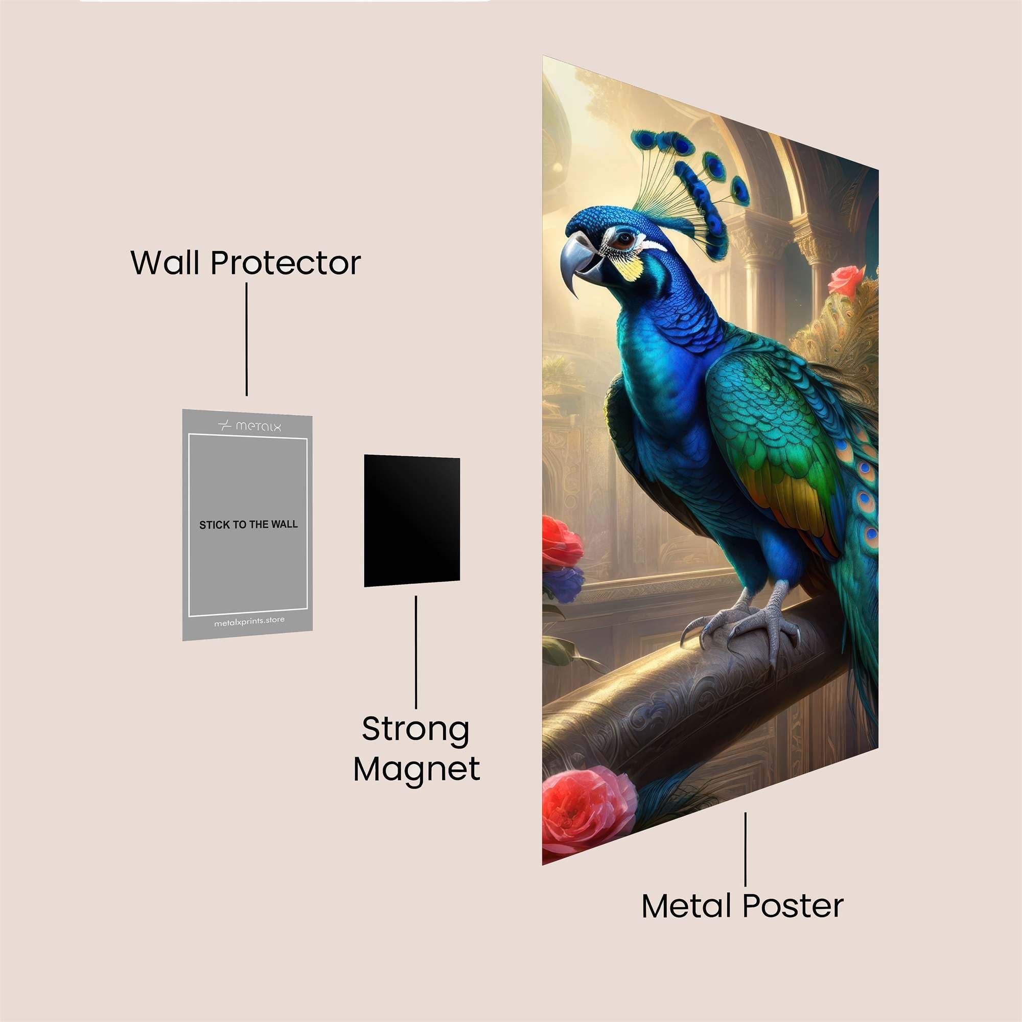 Peacock Majestic Safe Wall Magnetic / M