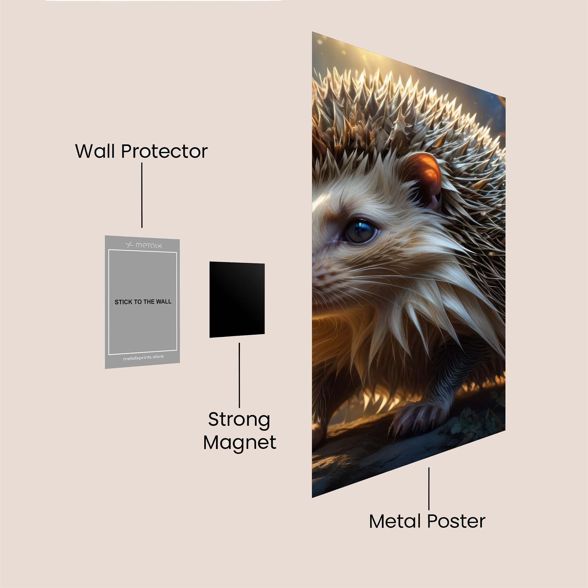 Hedgehog Radiance Safe Wall Magnetic / M