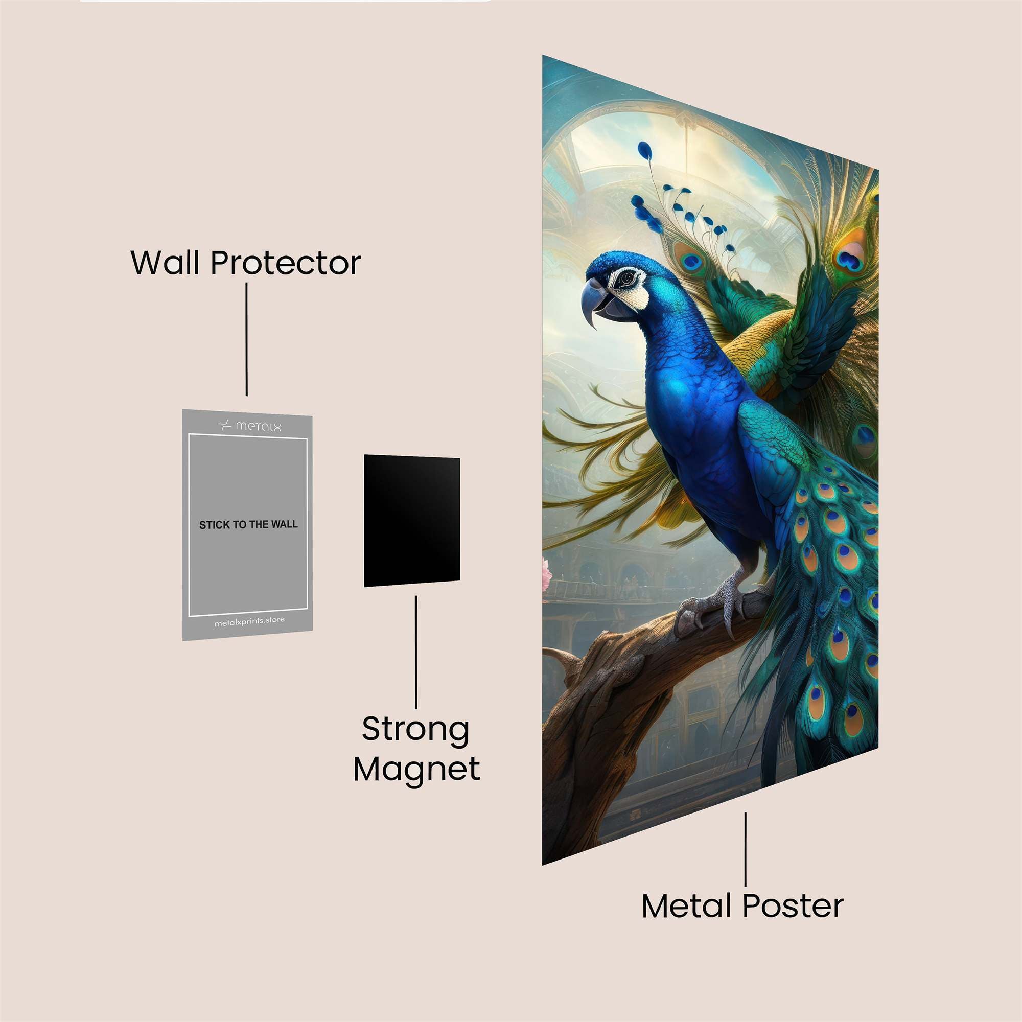 Peacock Radiant Safe Wall Magnetic / M