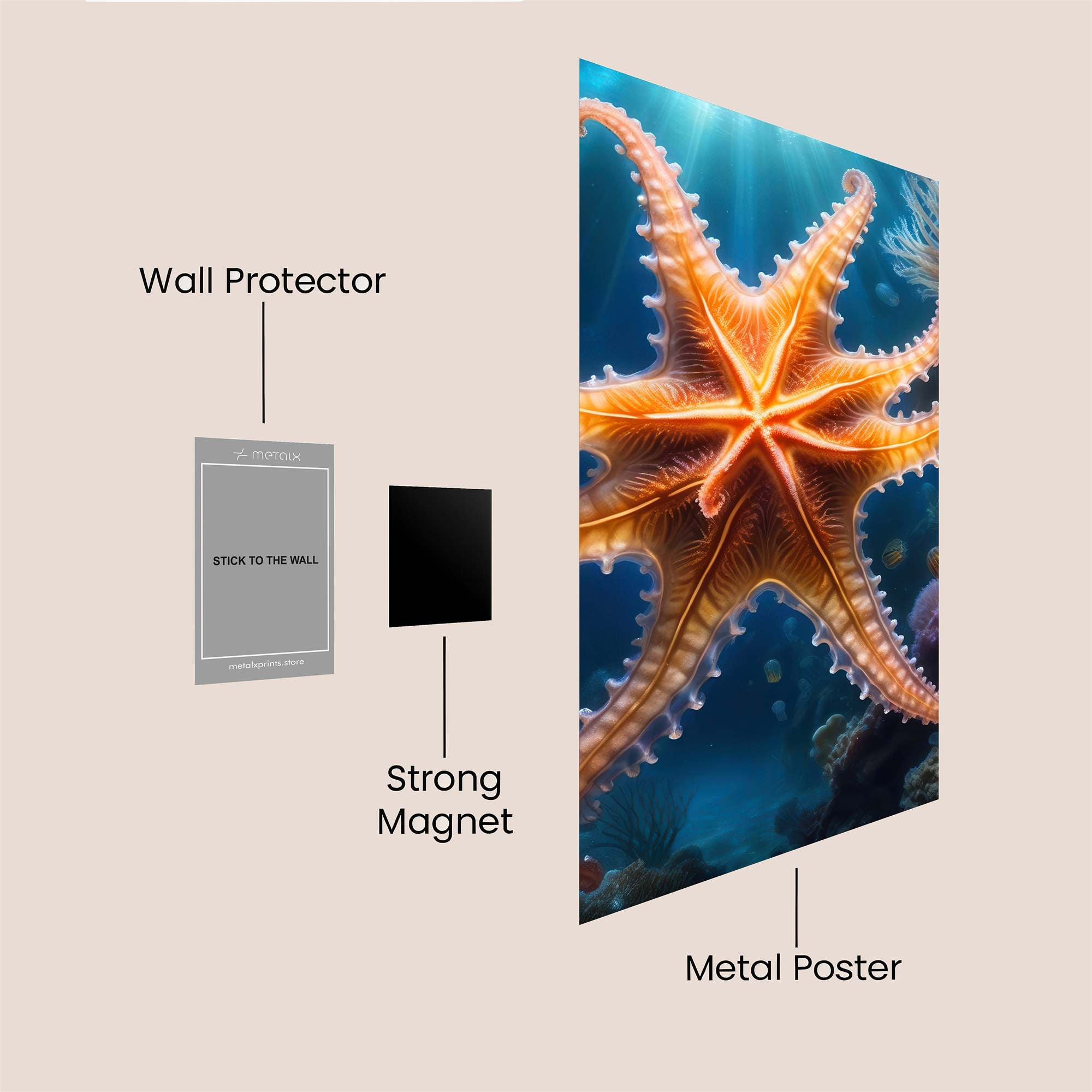 Sunstar Radiant Safe Wall Magnetic / M
