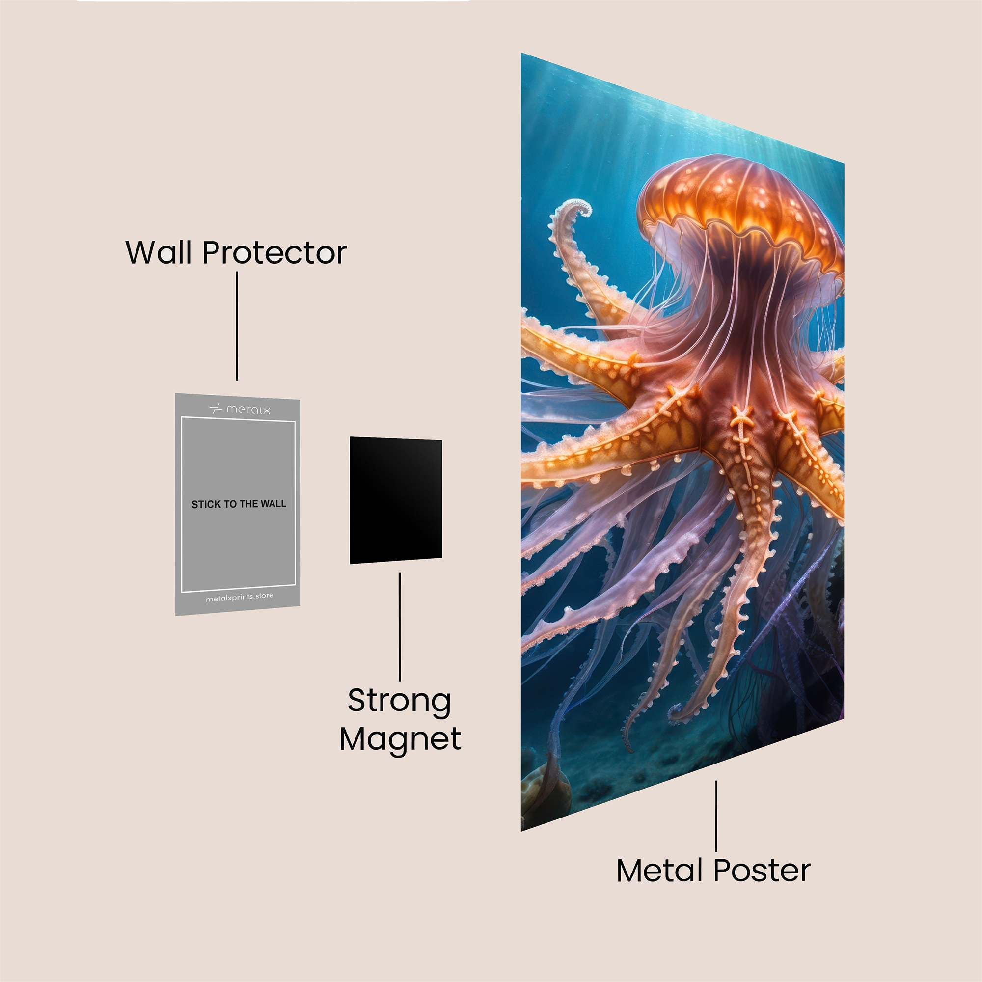 Jellyfish Enigma Safe Wall Magnetic / M