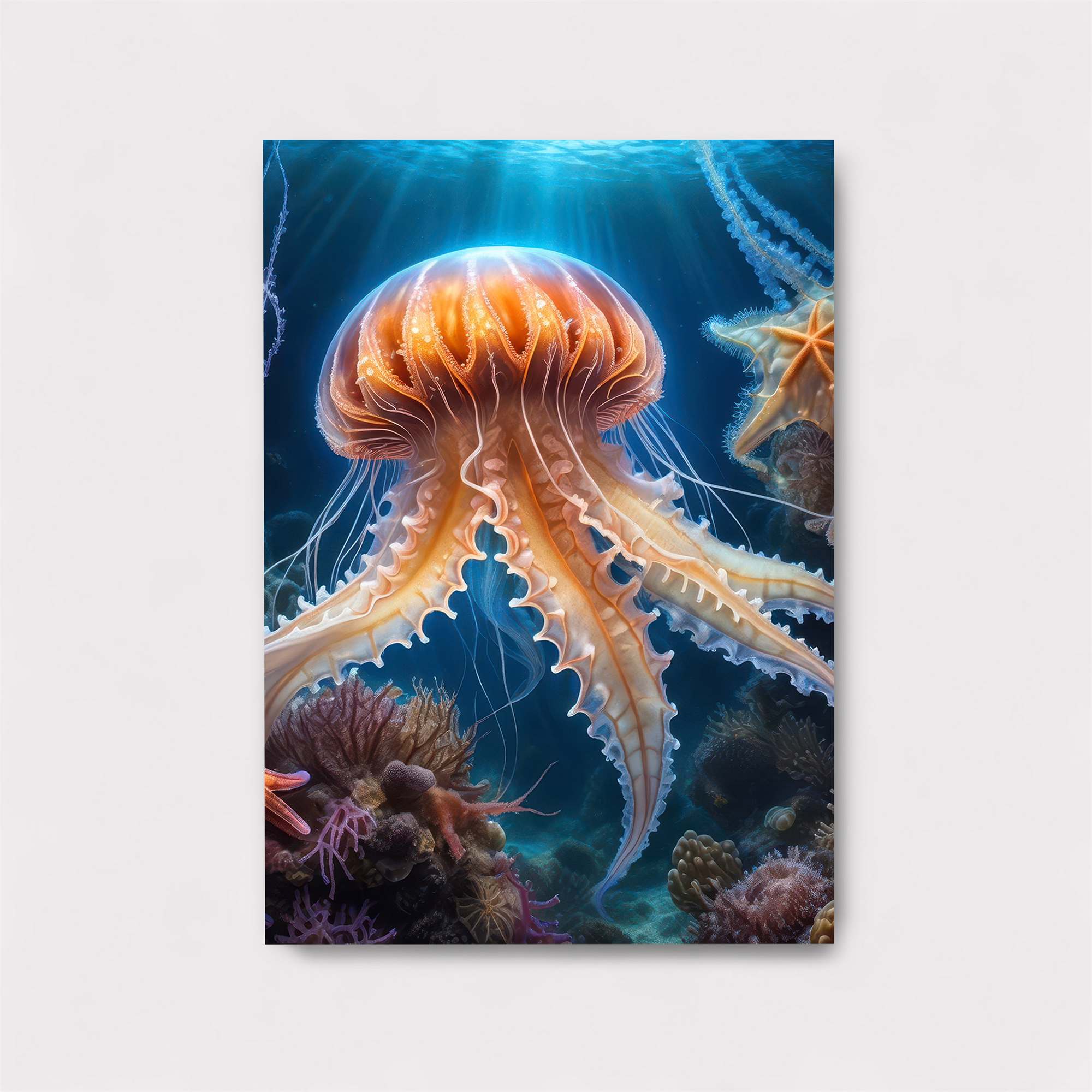 Jelly Radiance Safe Wall Magnetic / M