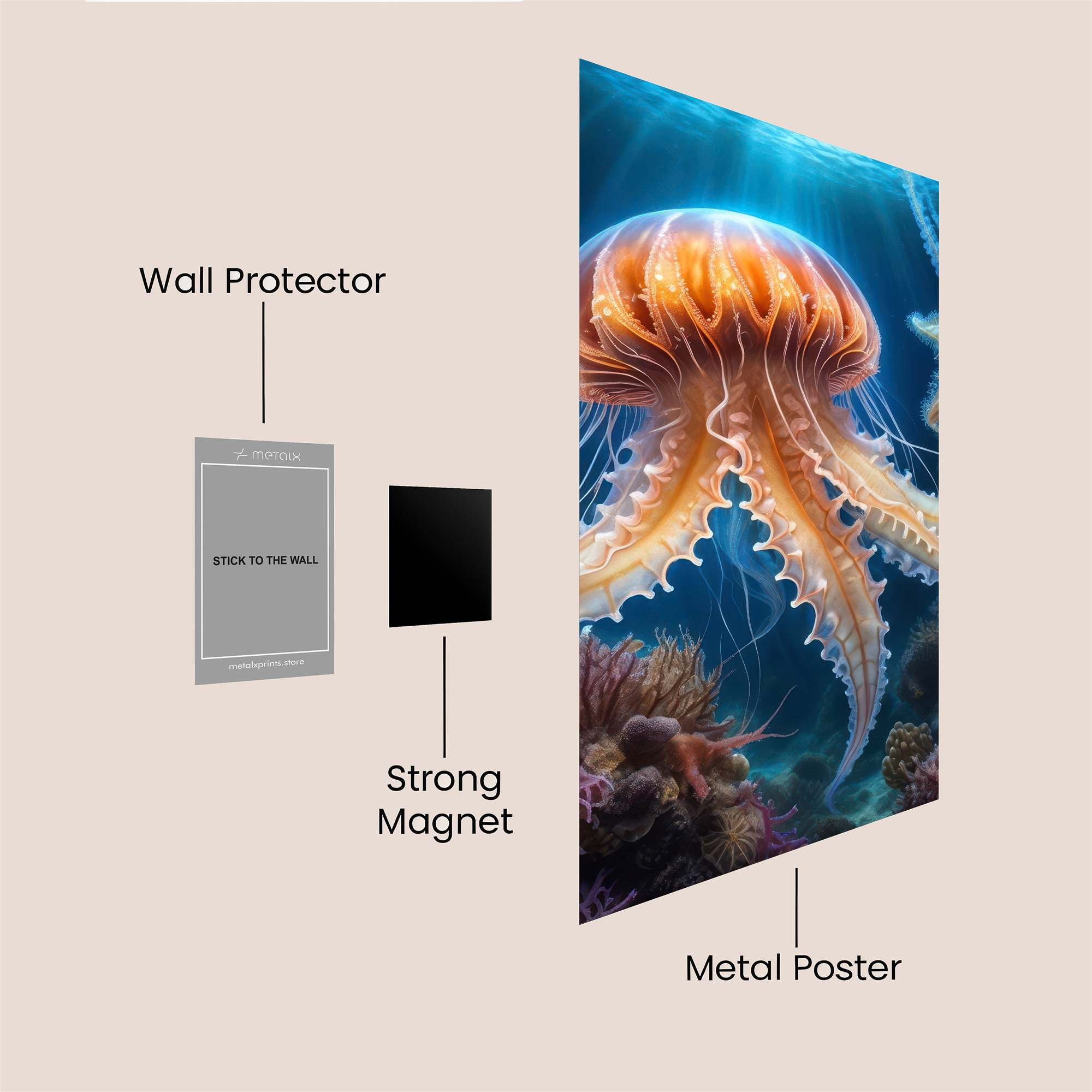 Jelly Radiance Safe Wall Magnetic / M