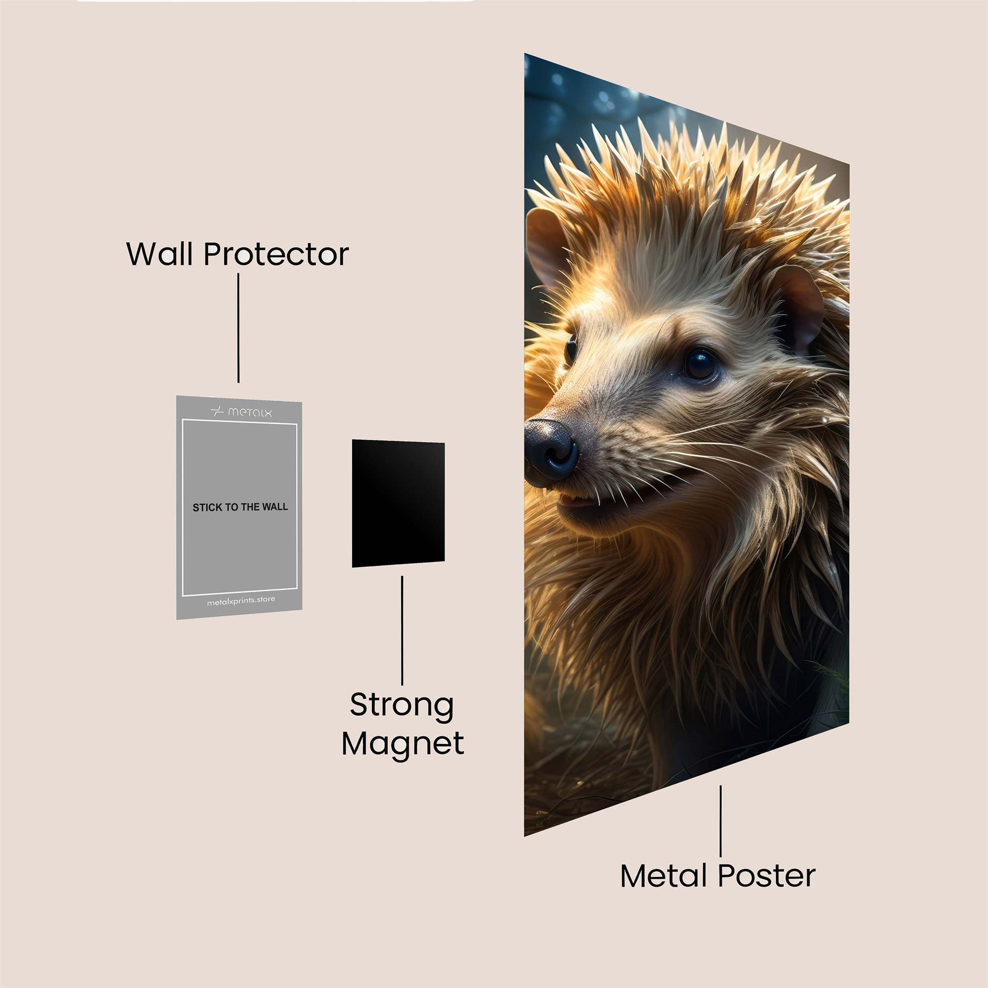 Hedgehog Radiance Safe Wall Magnetic / M