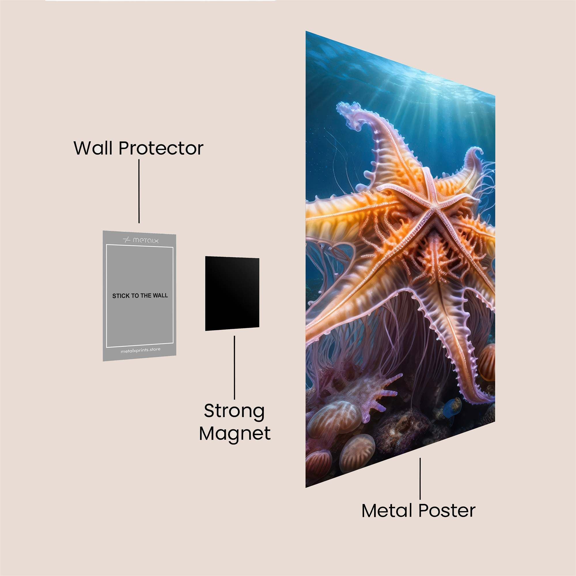 Starlight Majesty Safe Wall Magnetic / M