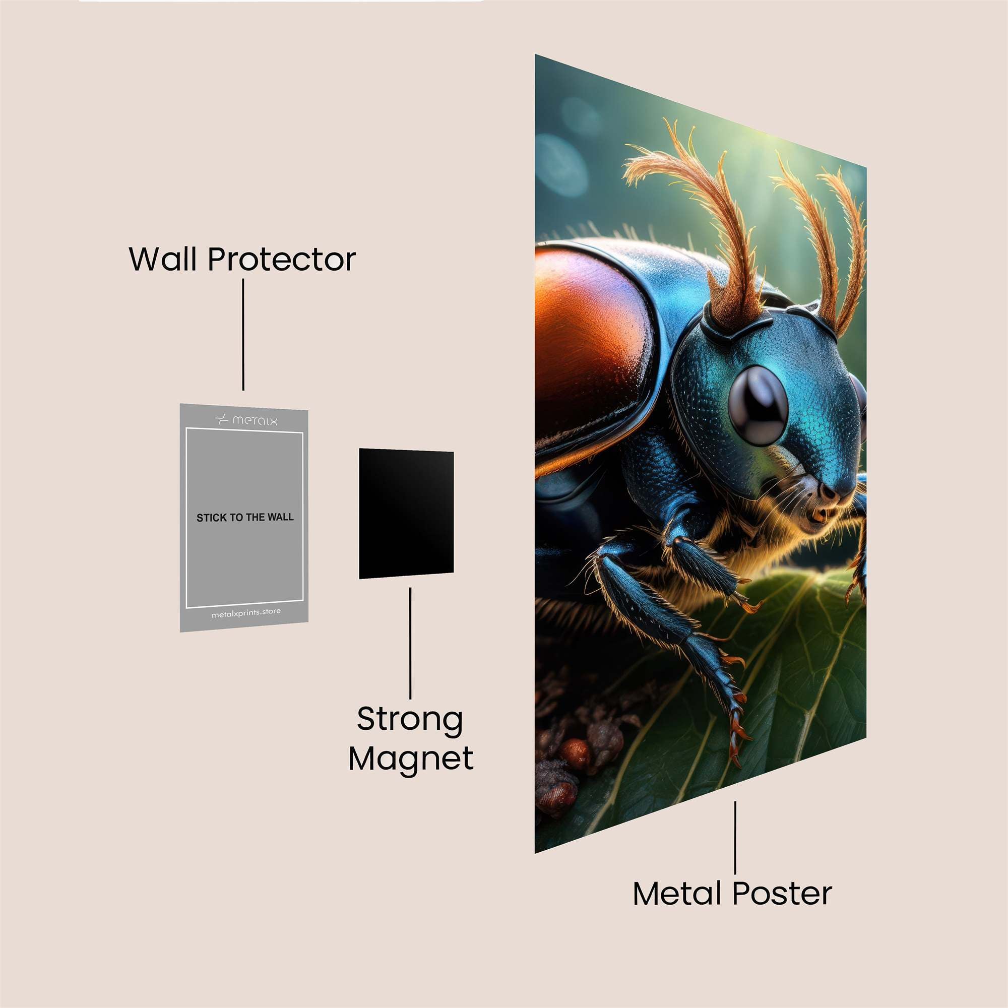 Beetle Radiance Safe Wall Magnetic / M