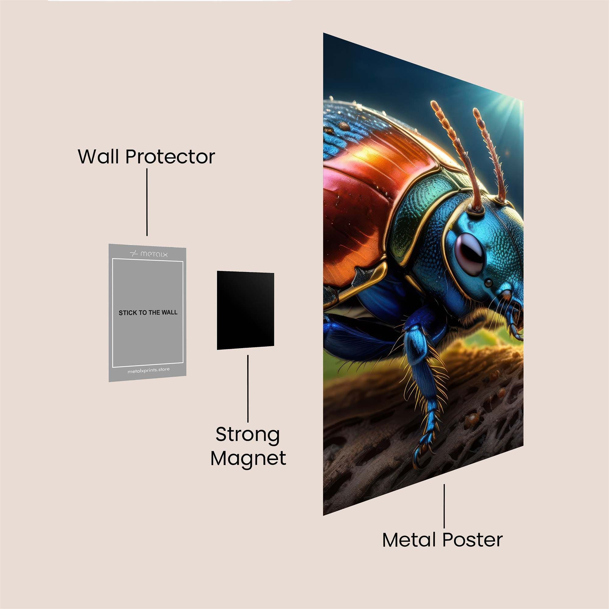 Jewel Beetle Safe Wall Magnetic / M