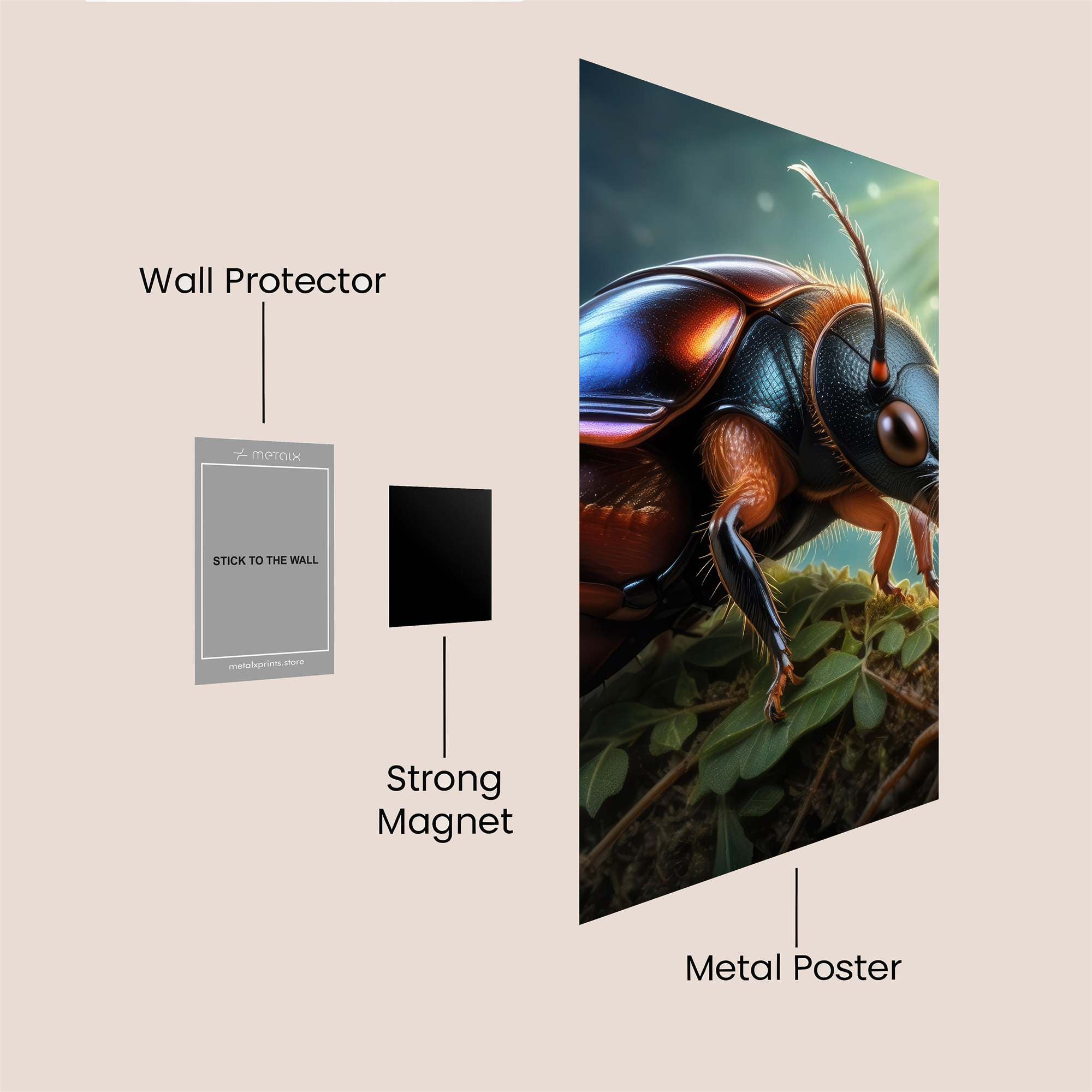 Beetle Radiance Safe Wall Magnetic / M