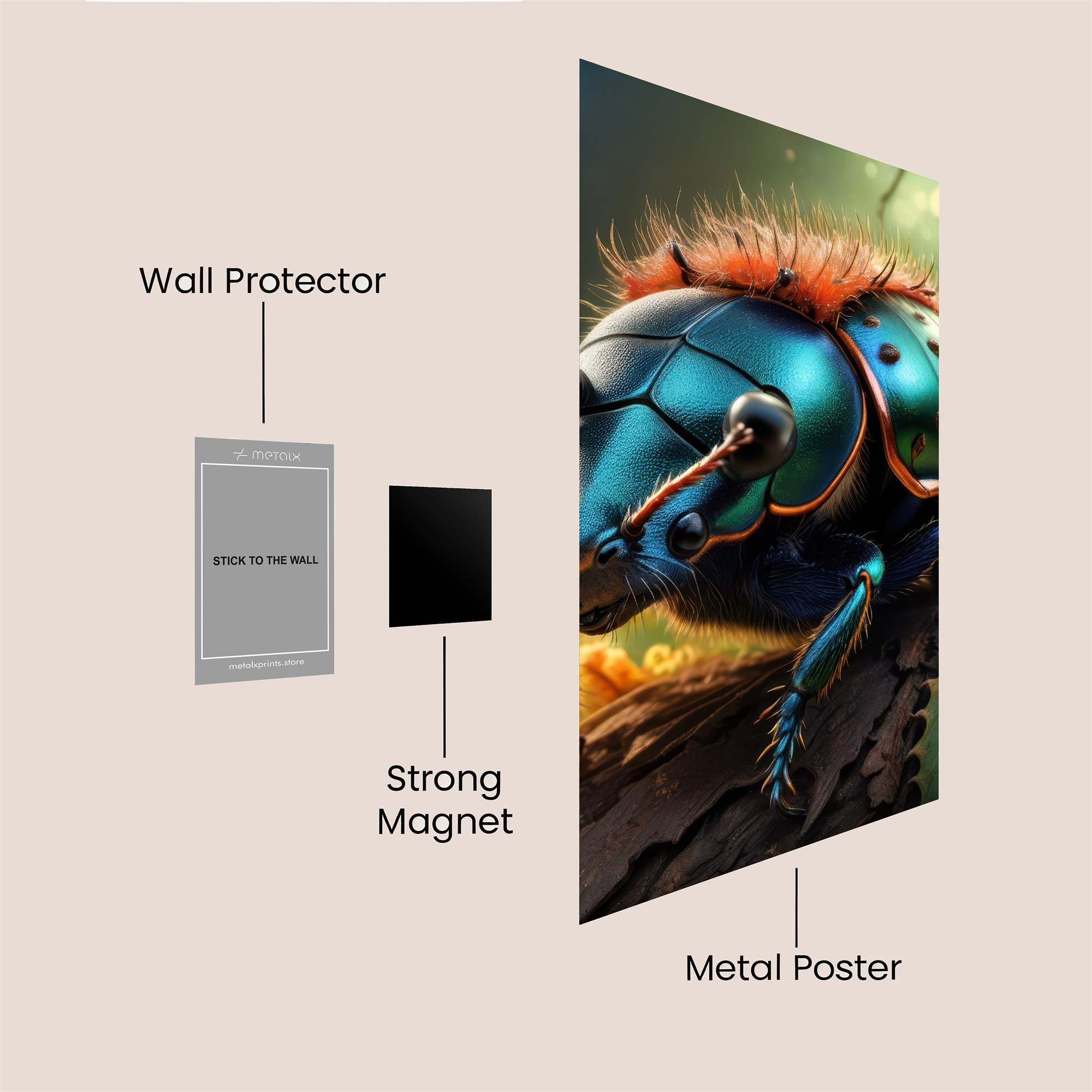 Beetle Radiance Safe Wall Magnetic / M