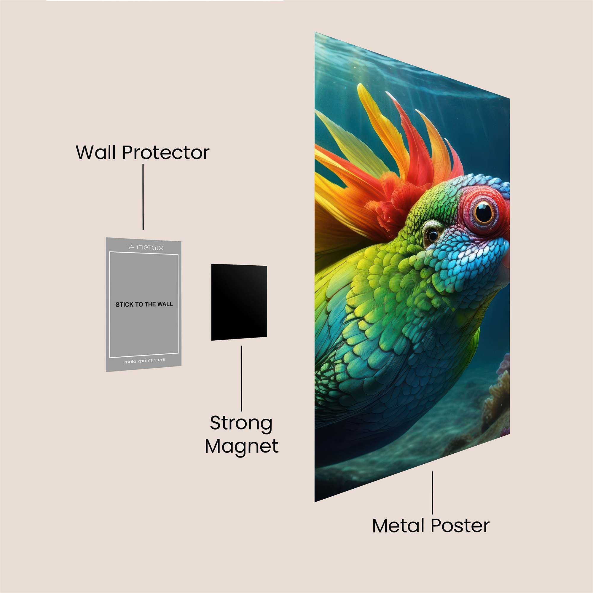 Parrot Whimsy Safe Wall Magnetic / M