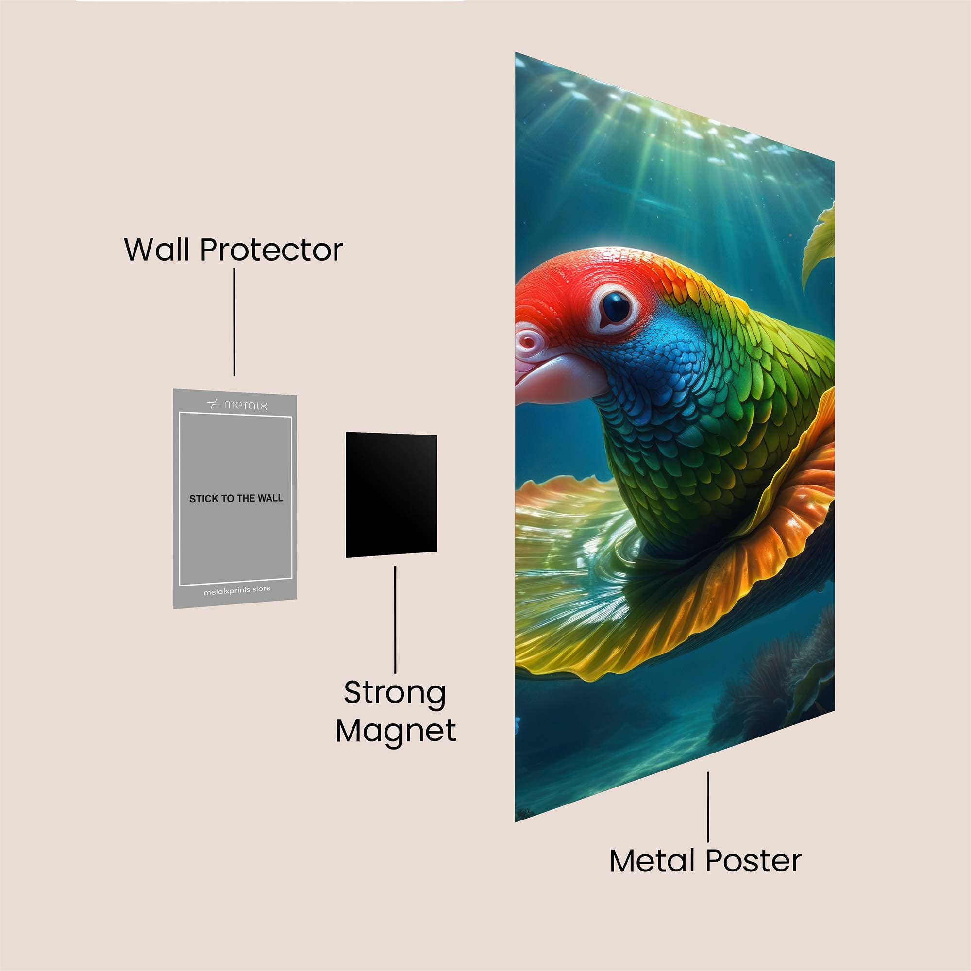 Parrot Dream Safe Wall Magnetic / M