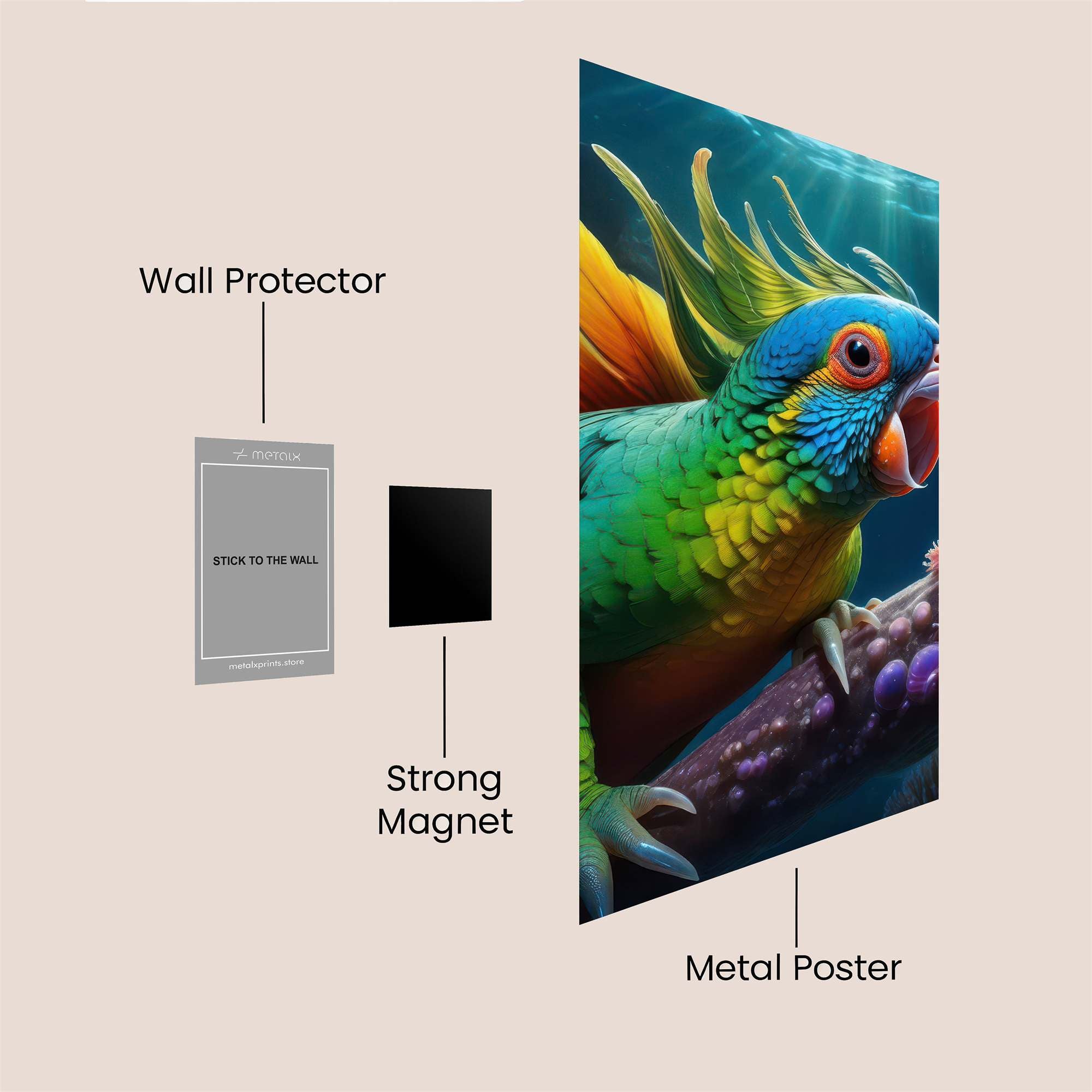 Parrot Euphoria Safe Wall Magnetic / M