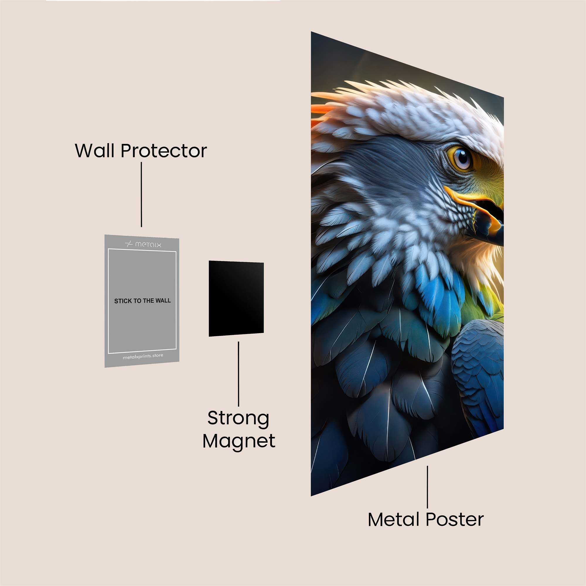 Eagle Radiance Safe Wall Magnetic / M