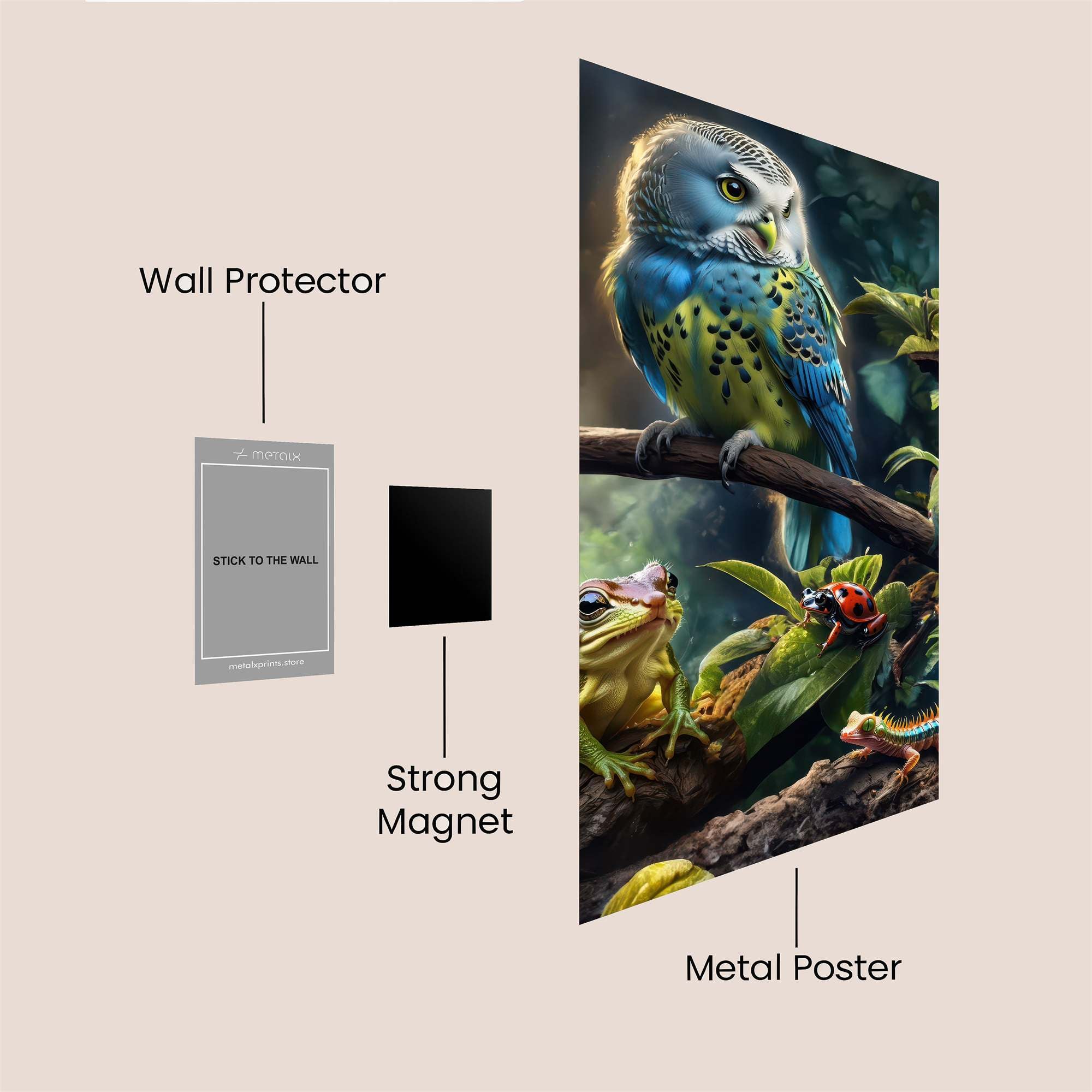 Owl Enchantment Safe Wall Magnetic / M