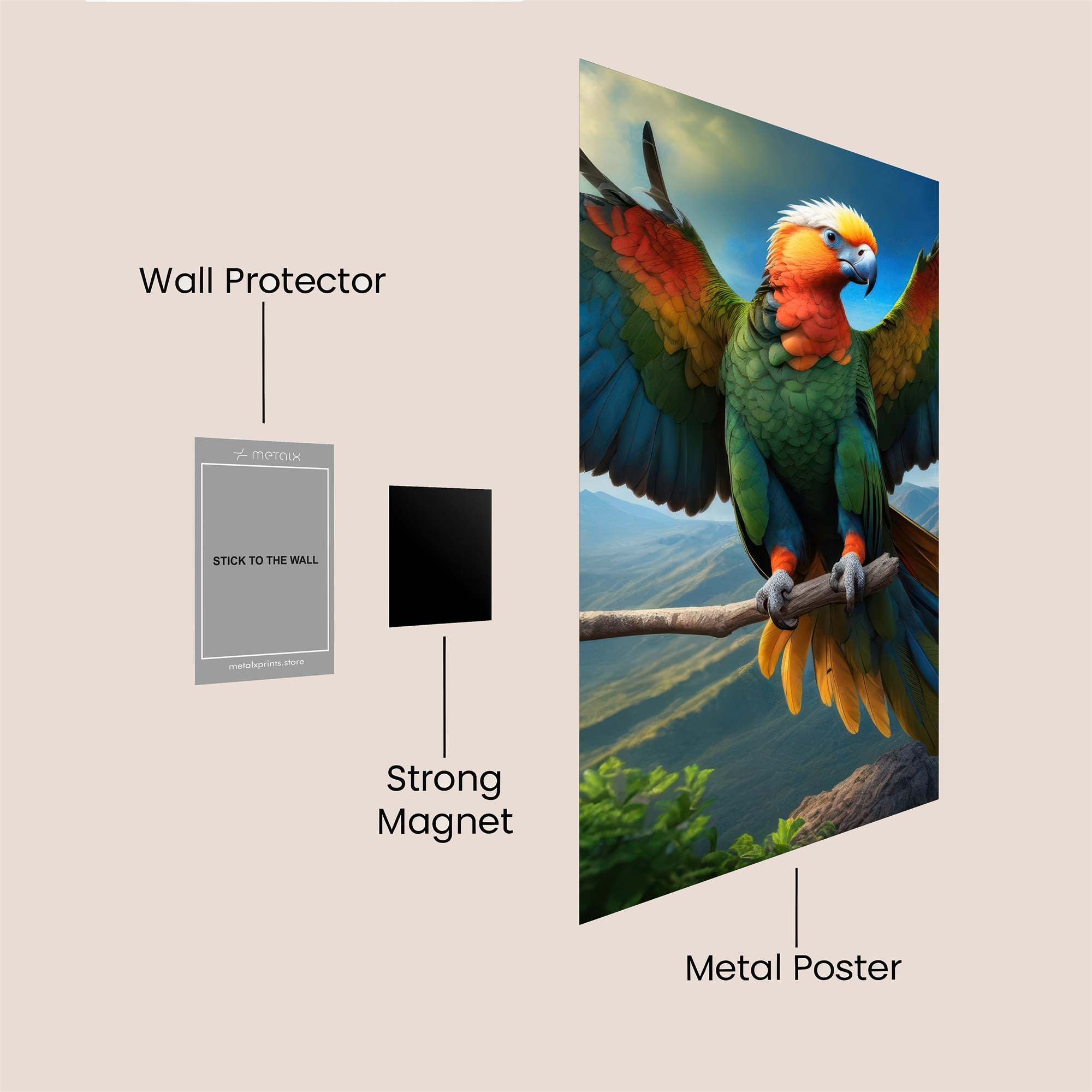 Parrot Majesty Safe Wall Magnetic / M