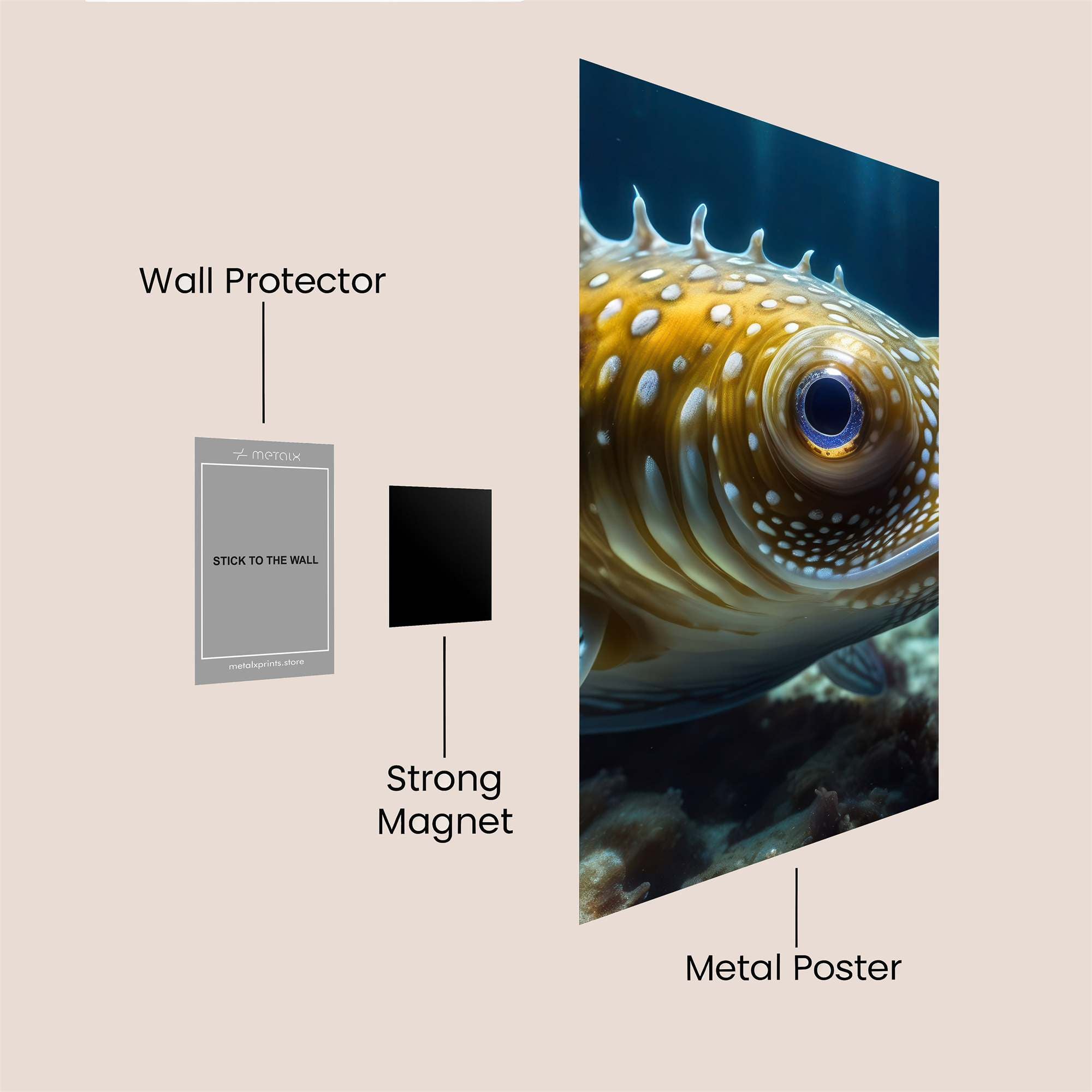 Spiny Serenity Safe Wall Magnetic / M