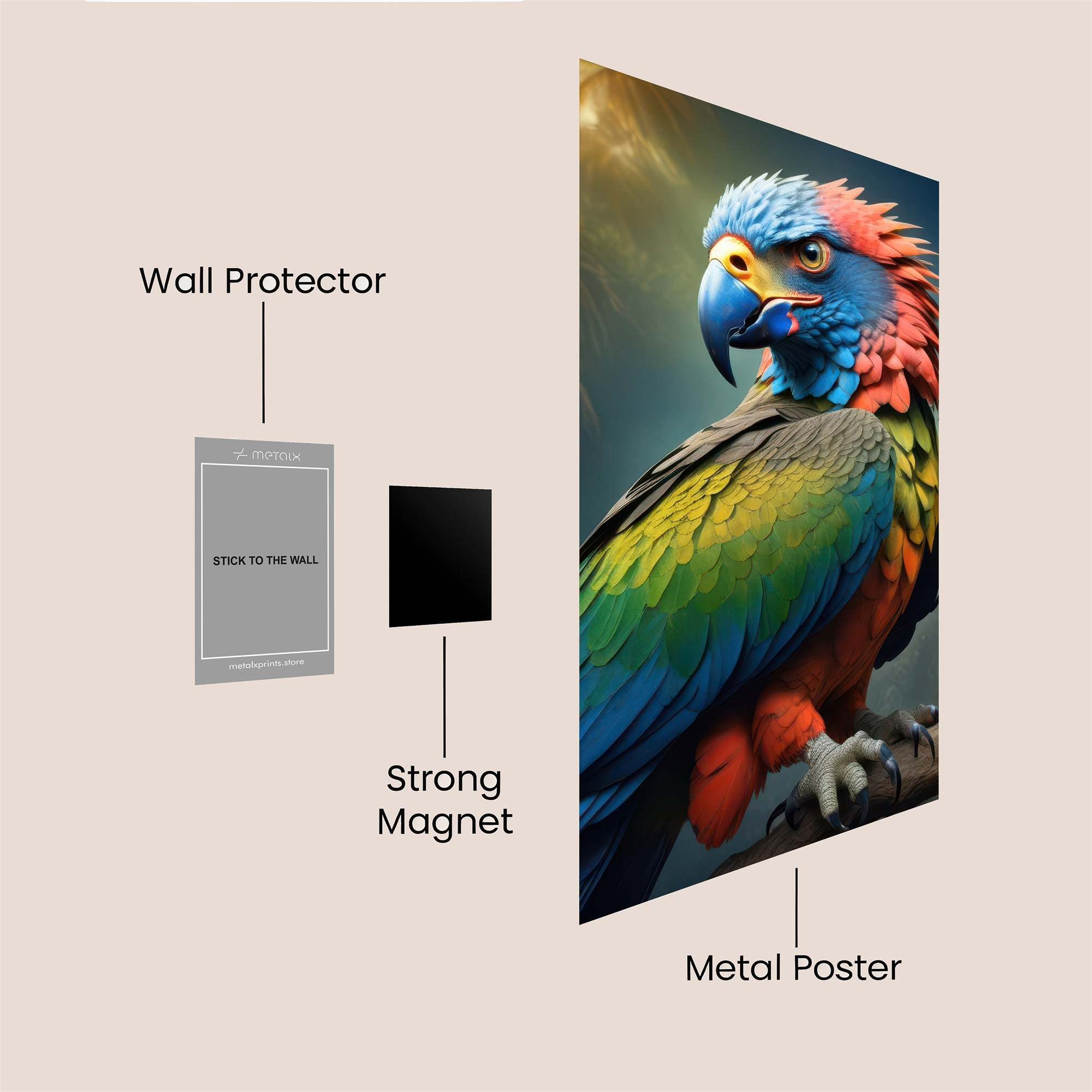 Rainbow Regal Safe Wall Magnetic / M