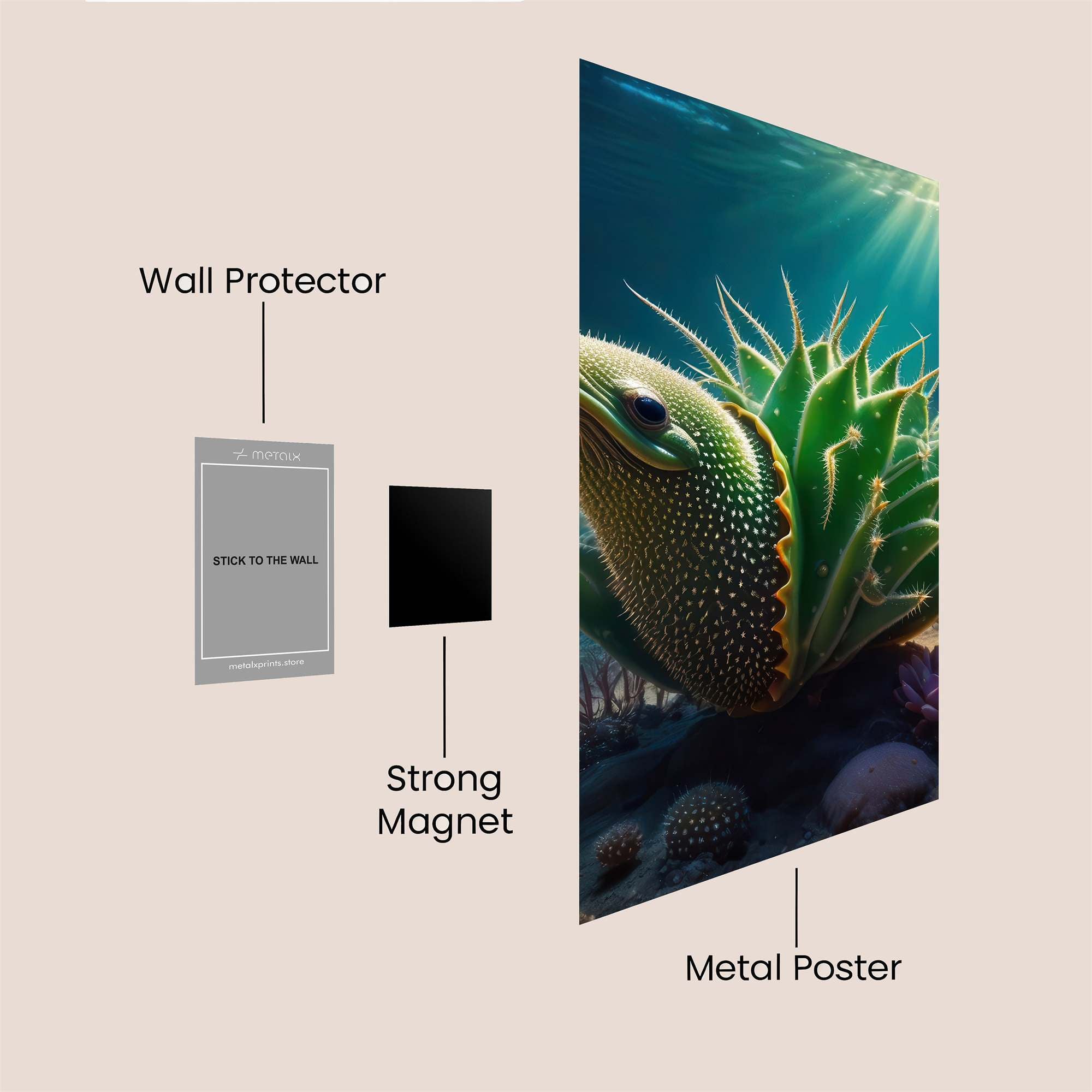 CactusCurious Safe Wall Magnetic / M