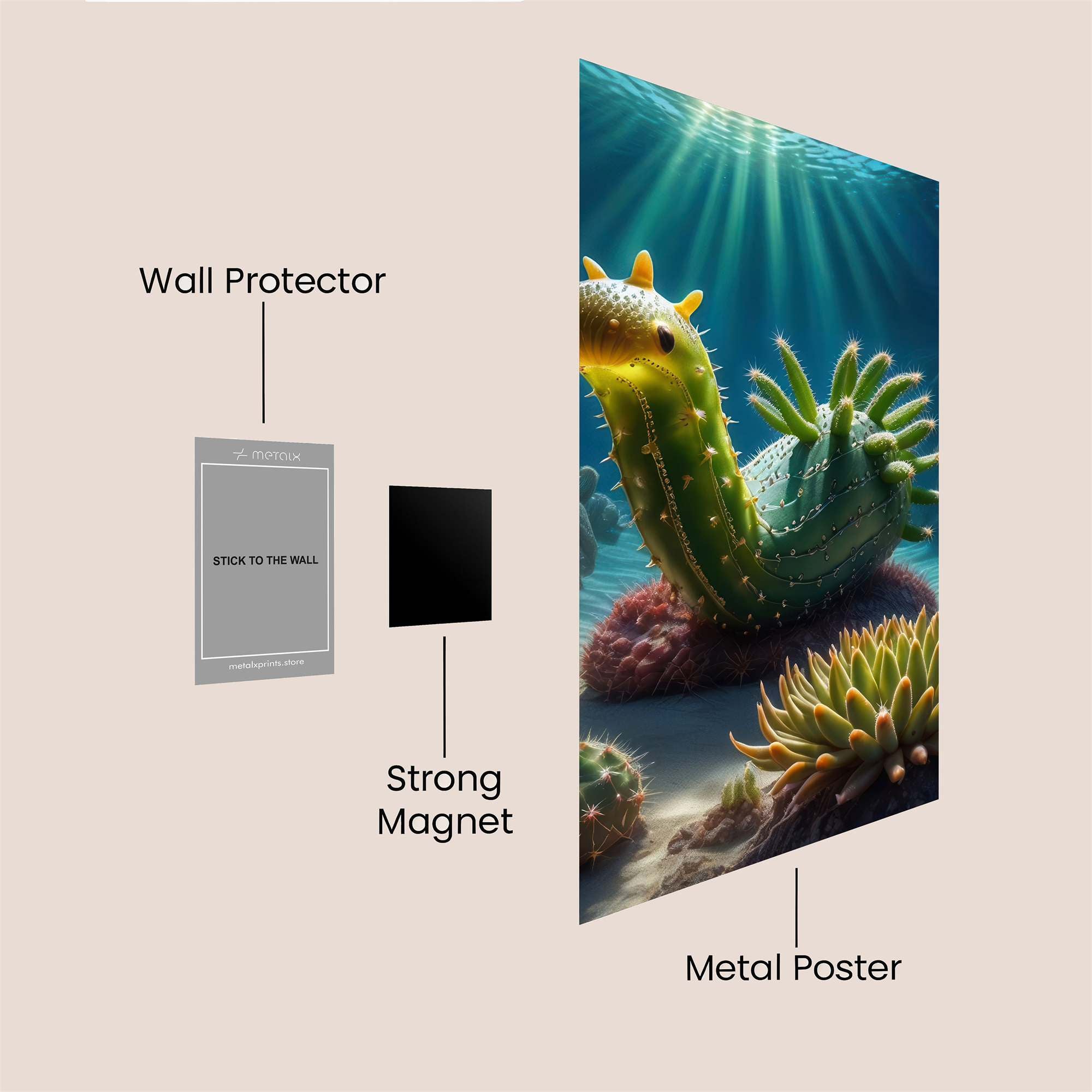 CactusDream Safe Wall Magnetic / M