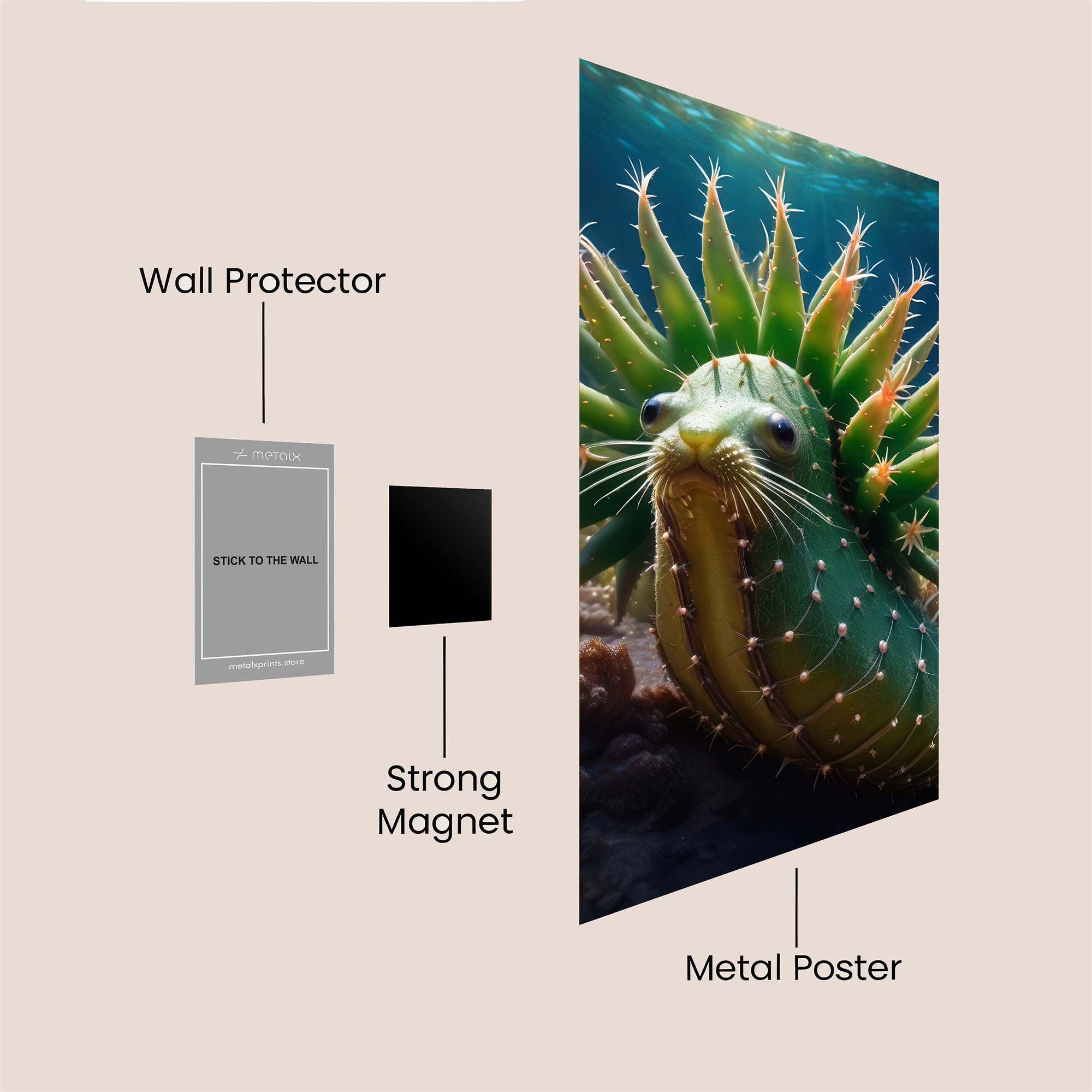 CactusWhimsy Safe Wall Magnetic / M