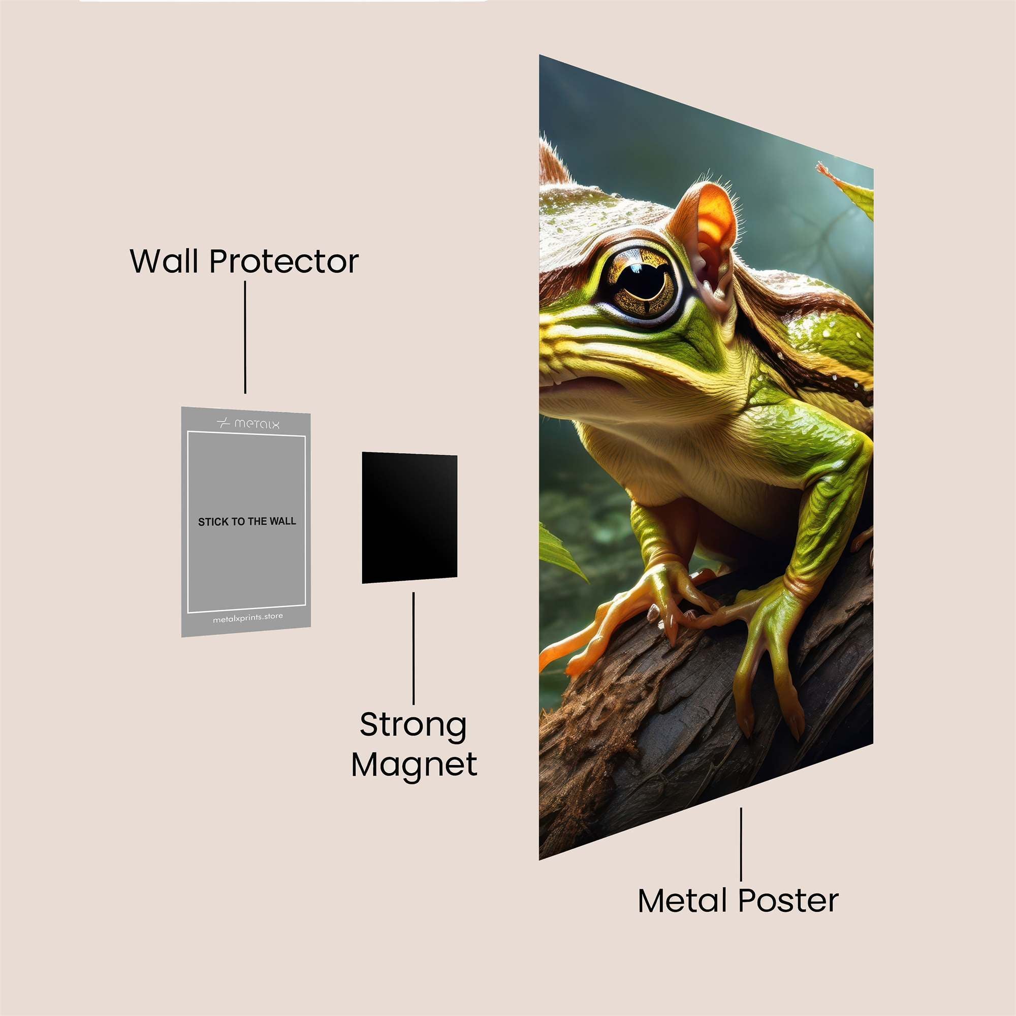 FrogWhimsy Safe Wall Magnetic / M