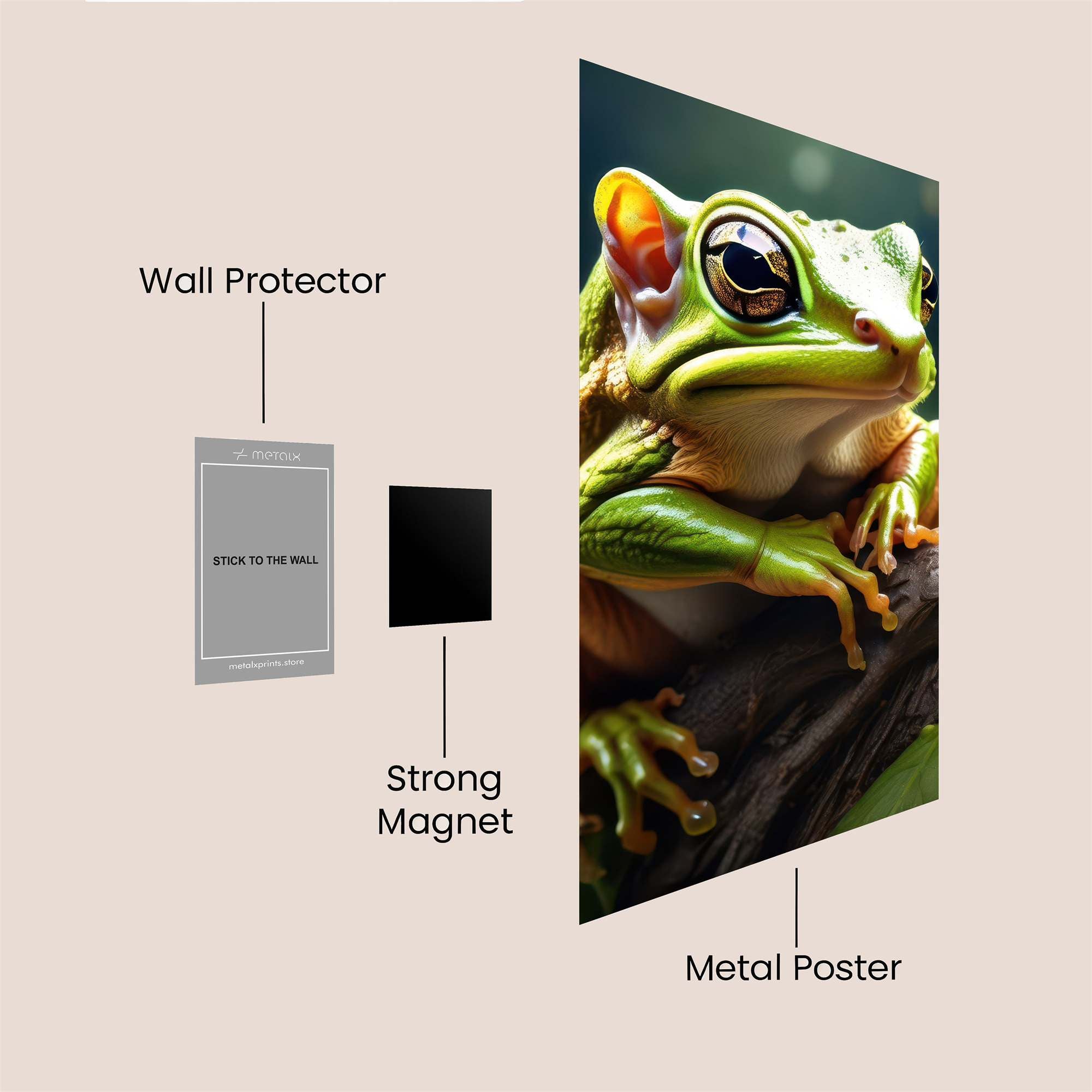 Frog Regal Safe Wall Magnetic / M