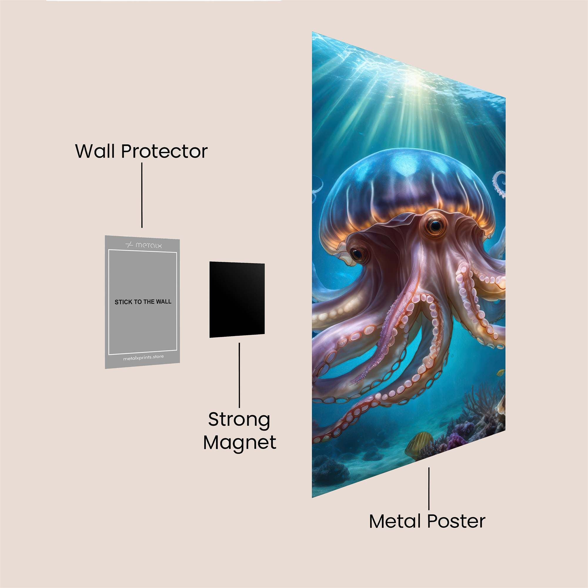 JellyMajesty Safe Wall Magnetic / M
