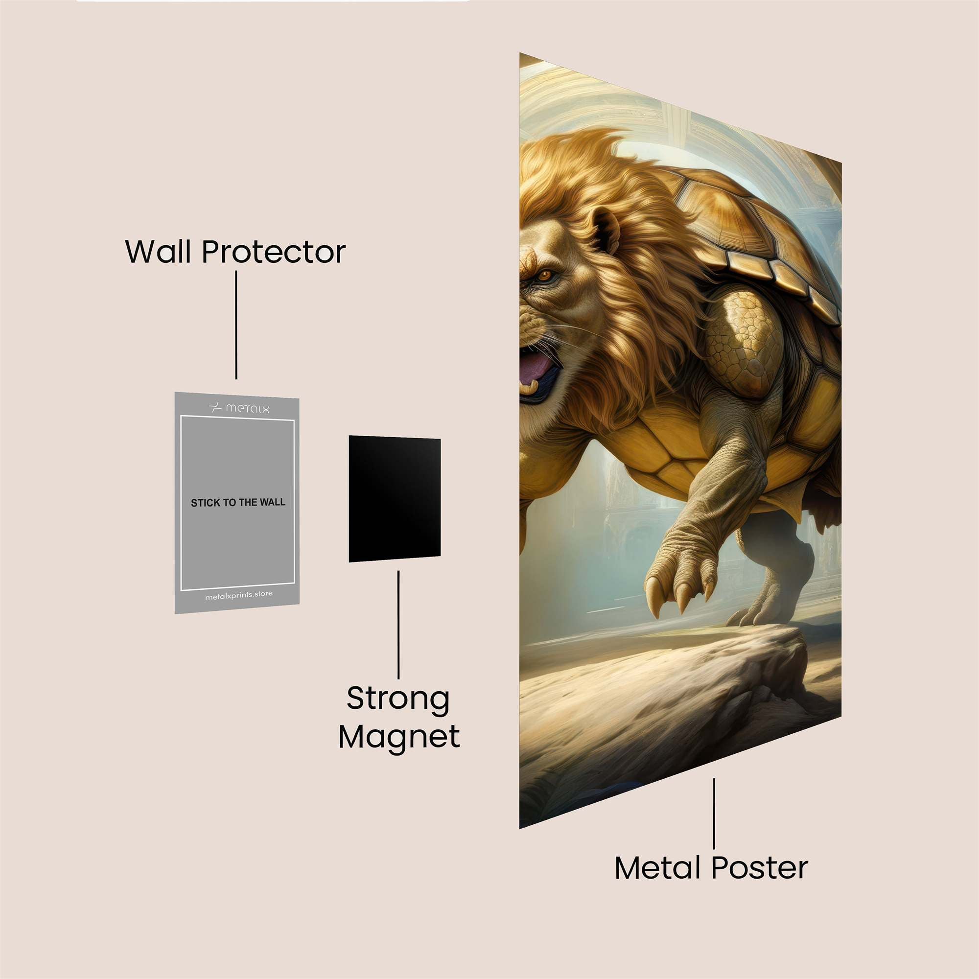 Tortoise Rage Safe Wall Magnetic / M