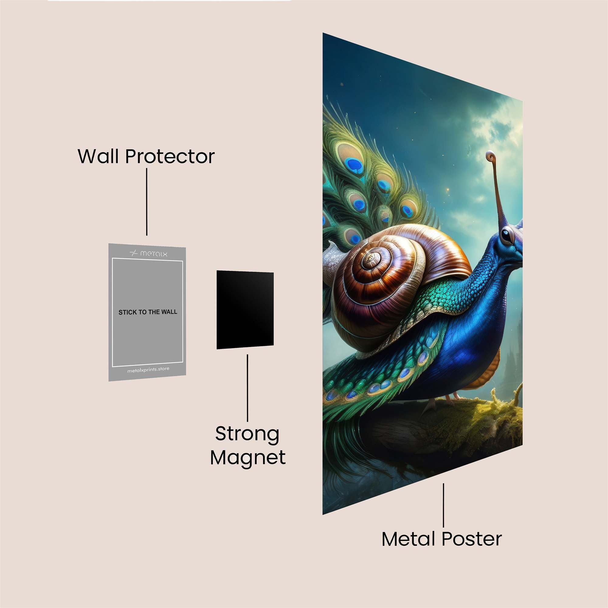 Peacock Snail Safe Wall Magnetic / M