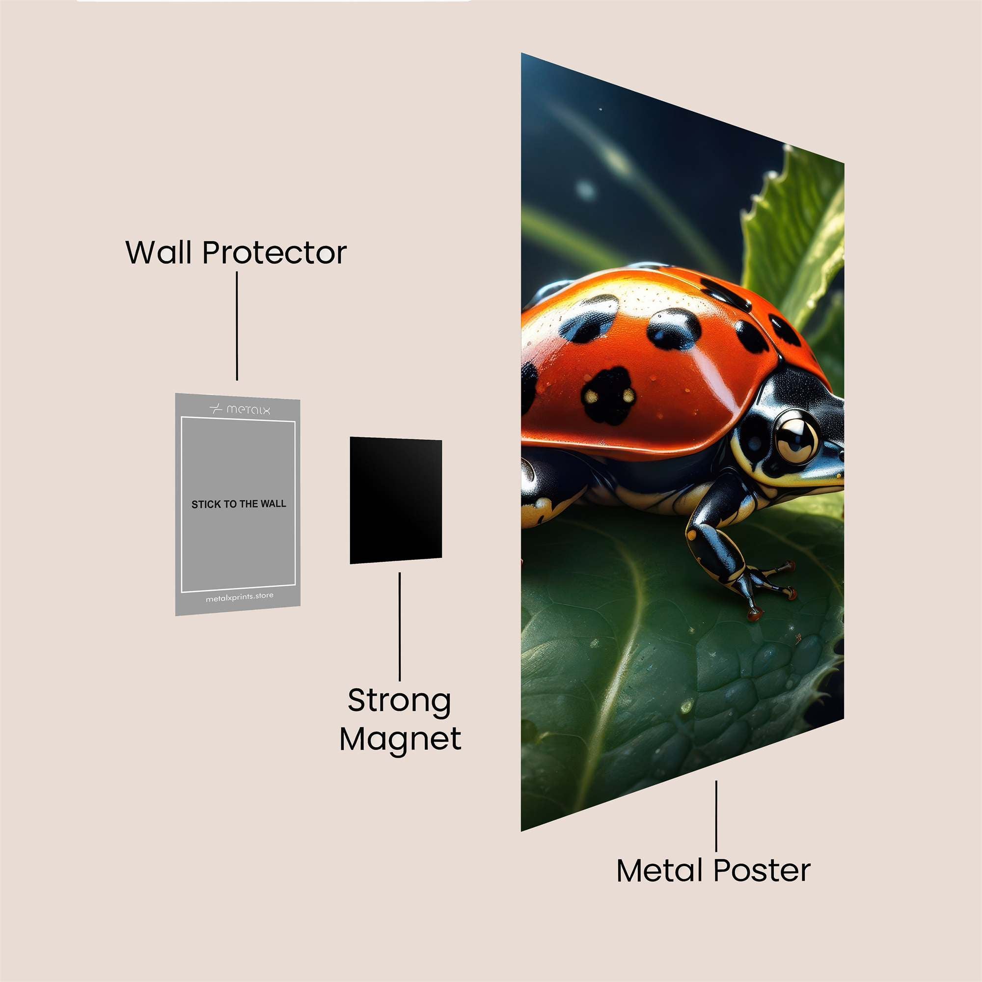 Frog Fusion Safe Wall Magnetic / M