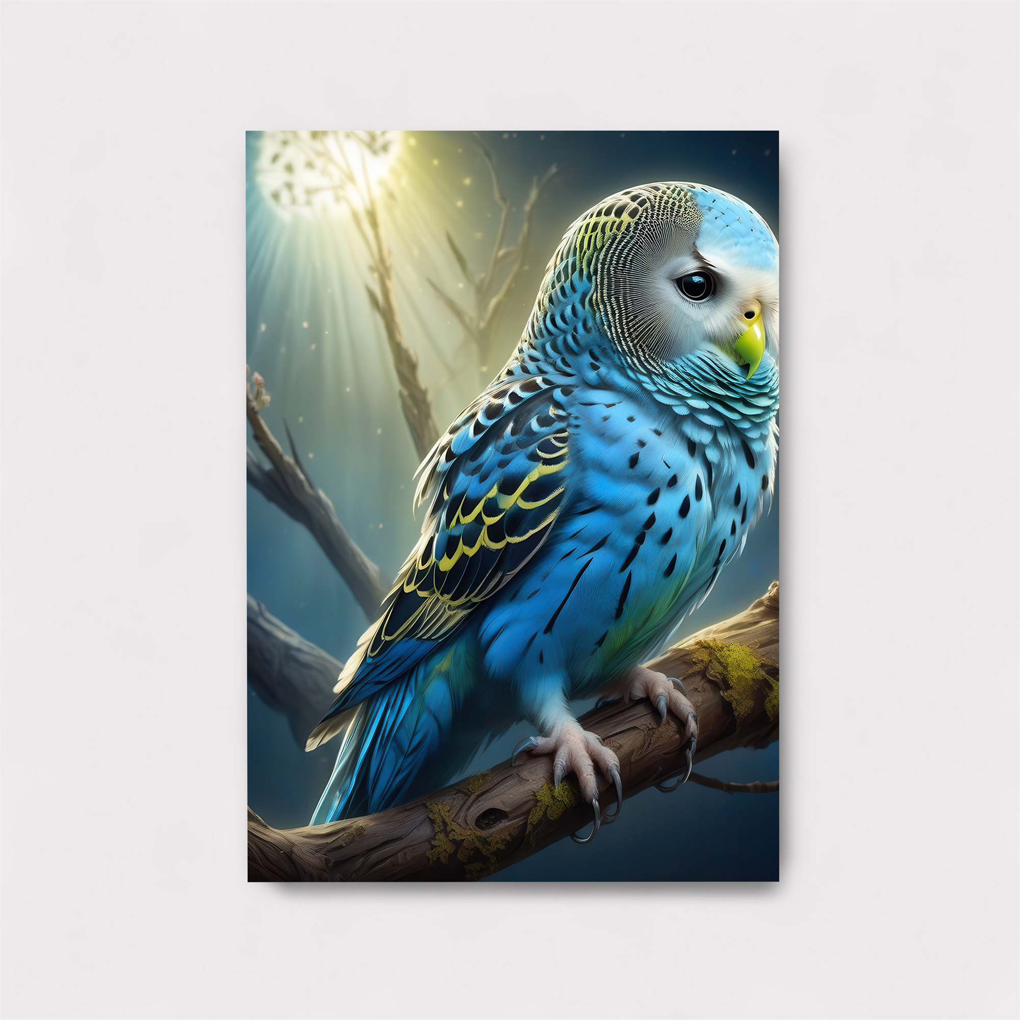 ParrotOwl Enchanting Safe Wall Magnetic / M