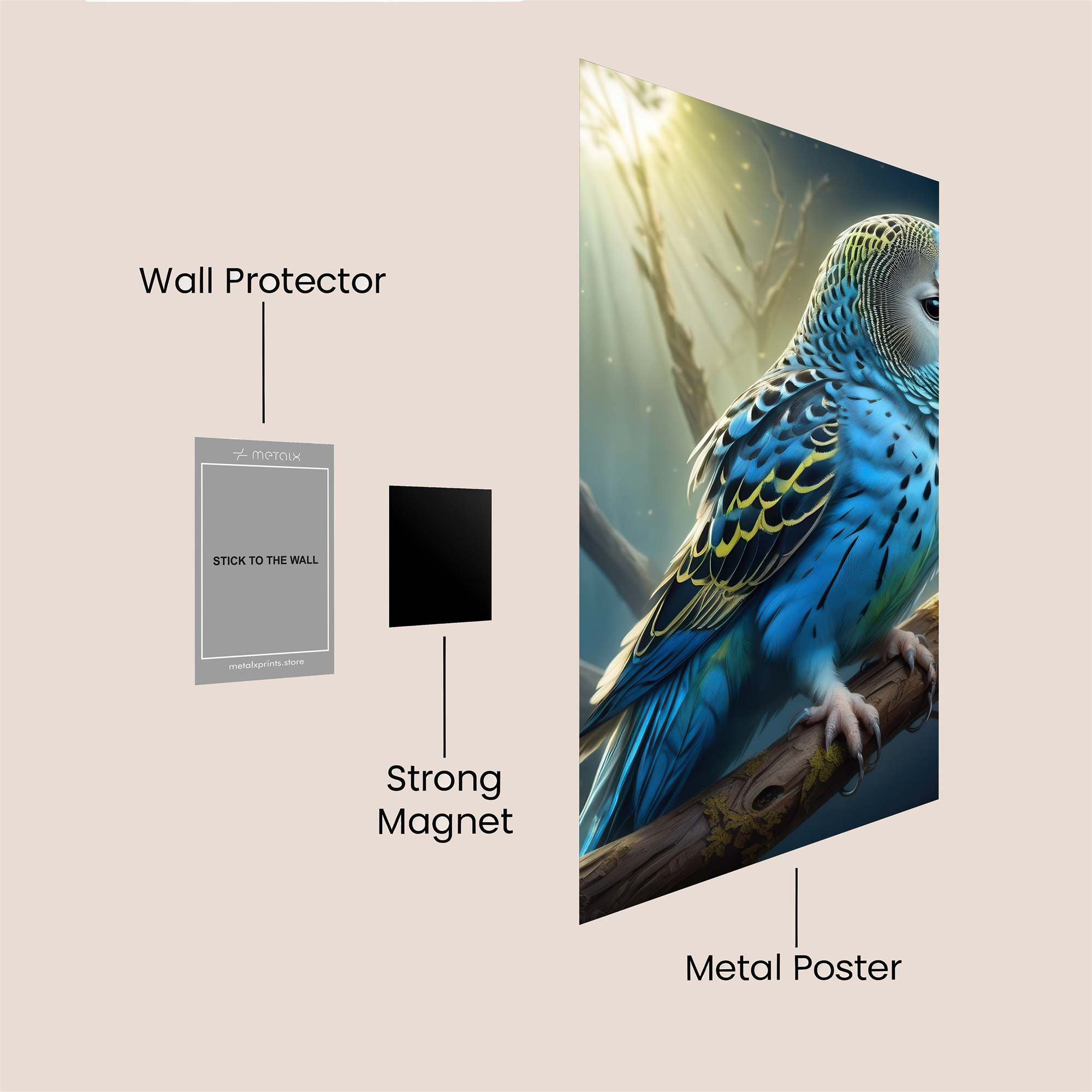 ParrotOwl Enchanting Safe Wall Magnetic / M