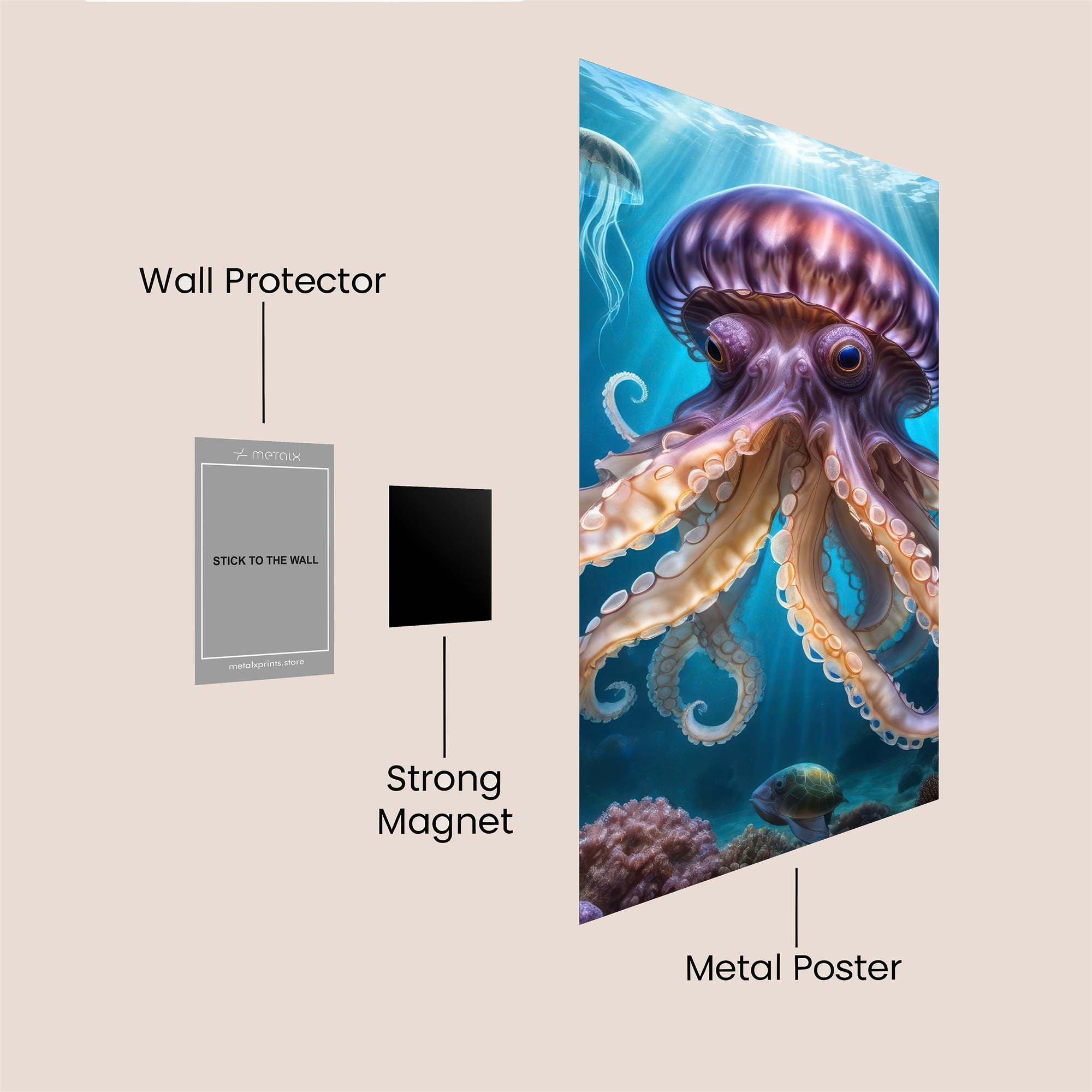 JellyDream Safe Wall Magnetic / M