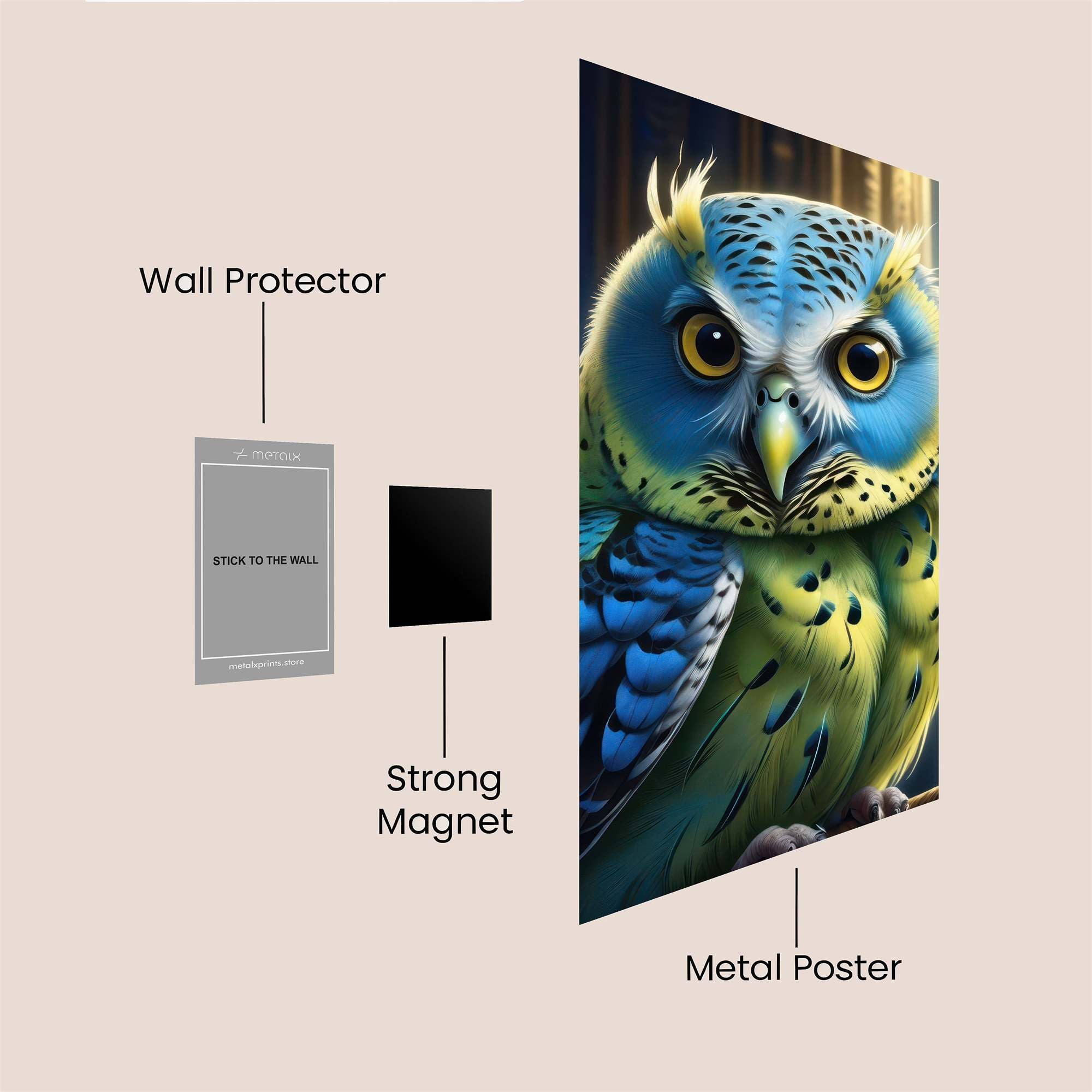 Owl Enchantment Safe Wall Magnetic / M