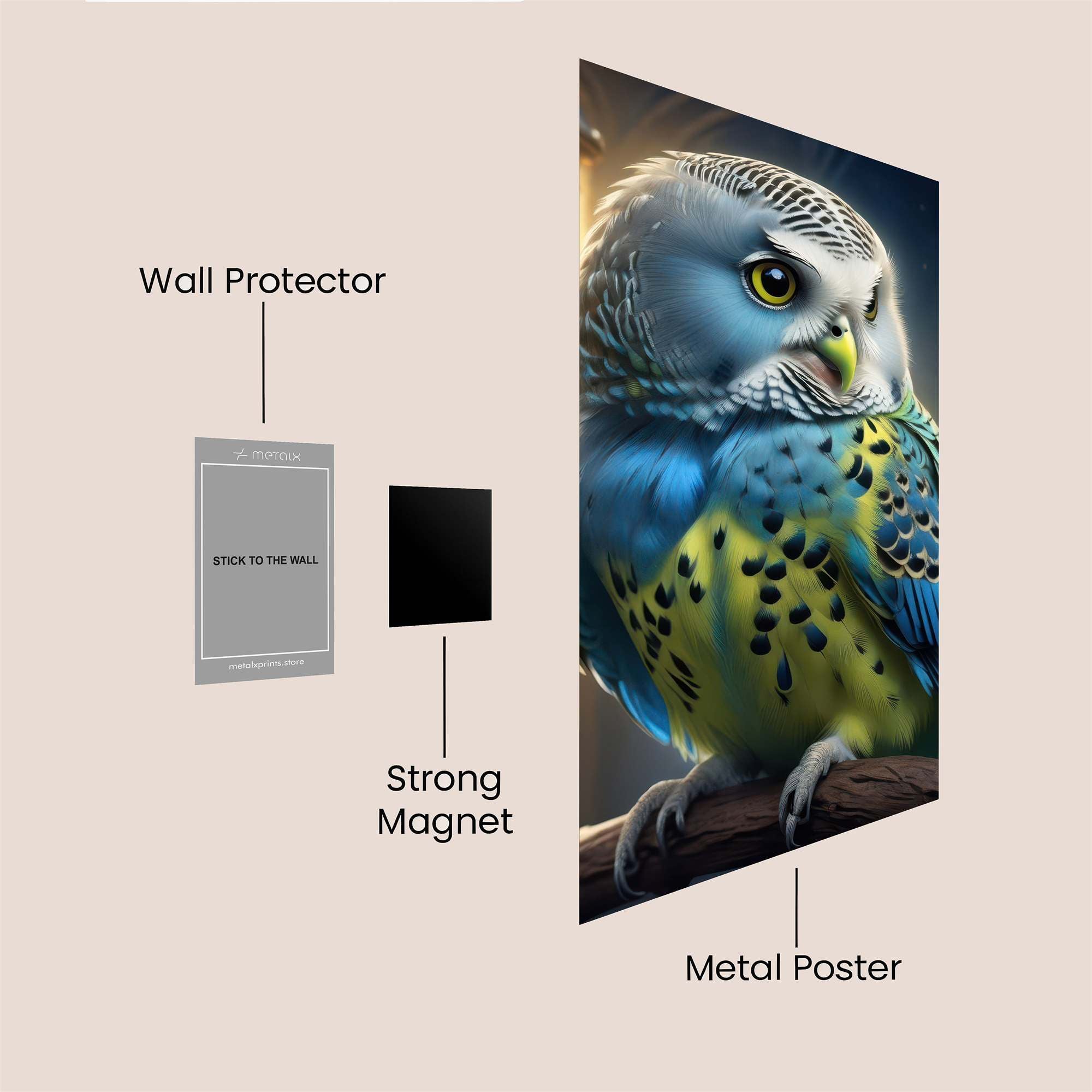 Owl Enchantment Safe Wall Magnetic / M