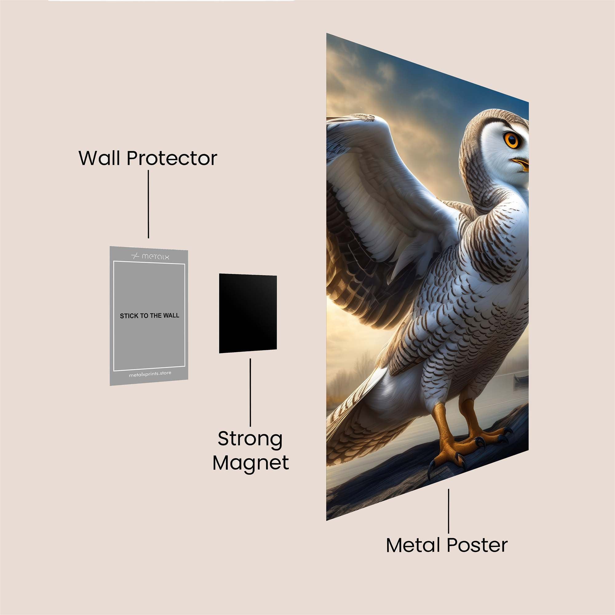 Owl Majesty Safe Wall Magnetic / M